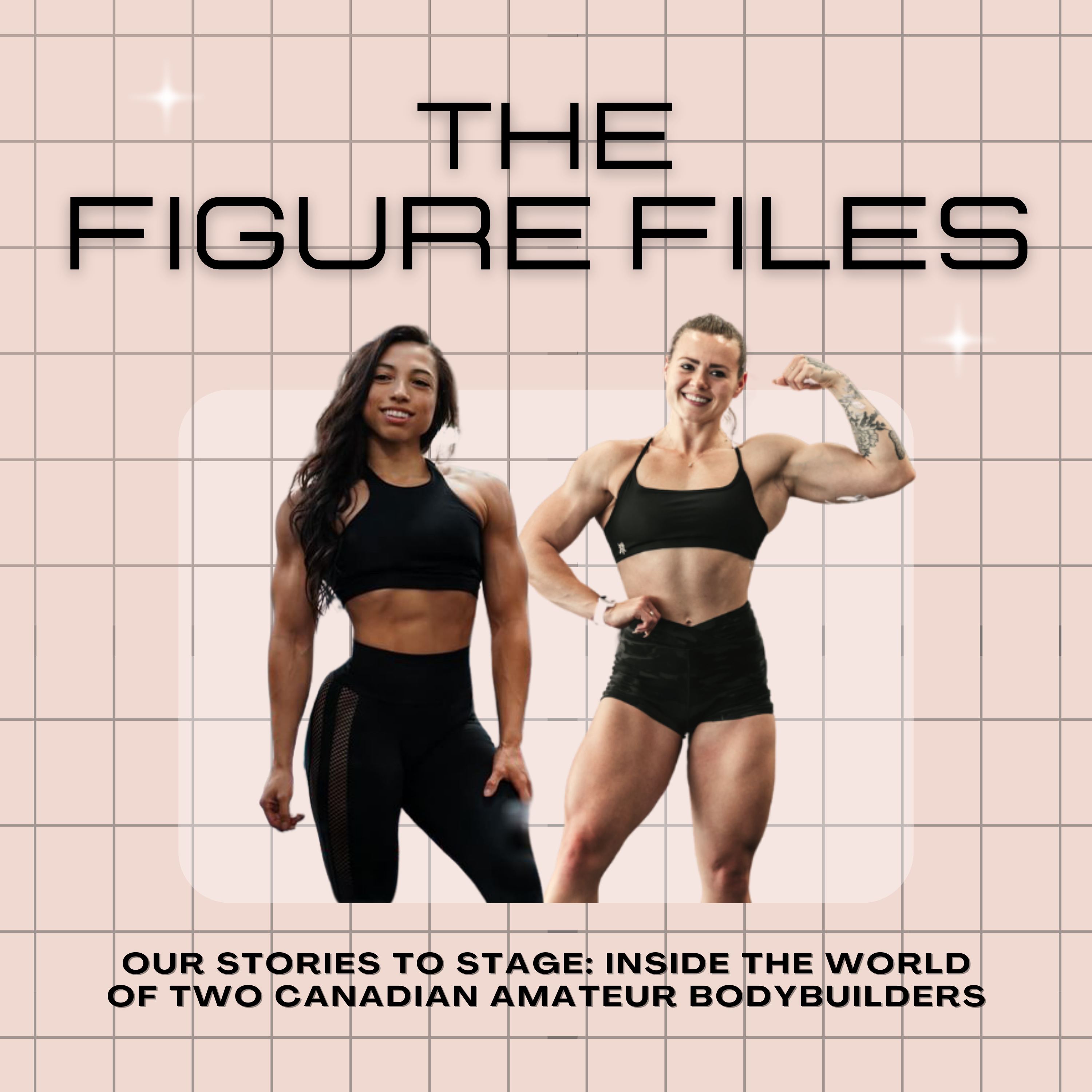 The Figure Files Podcast podcast artwork