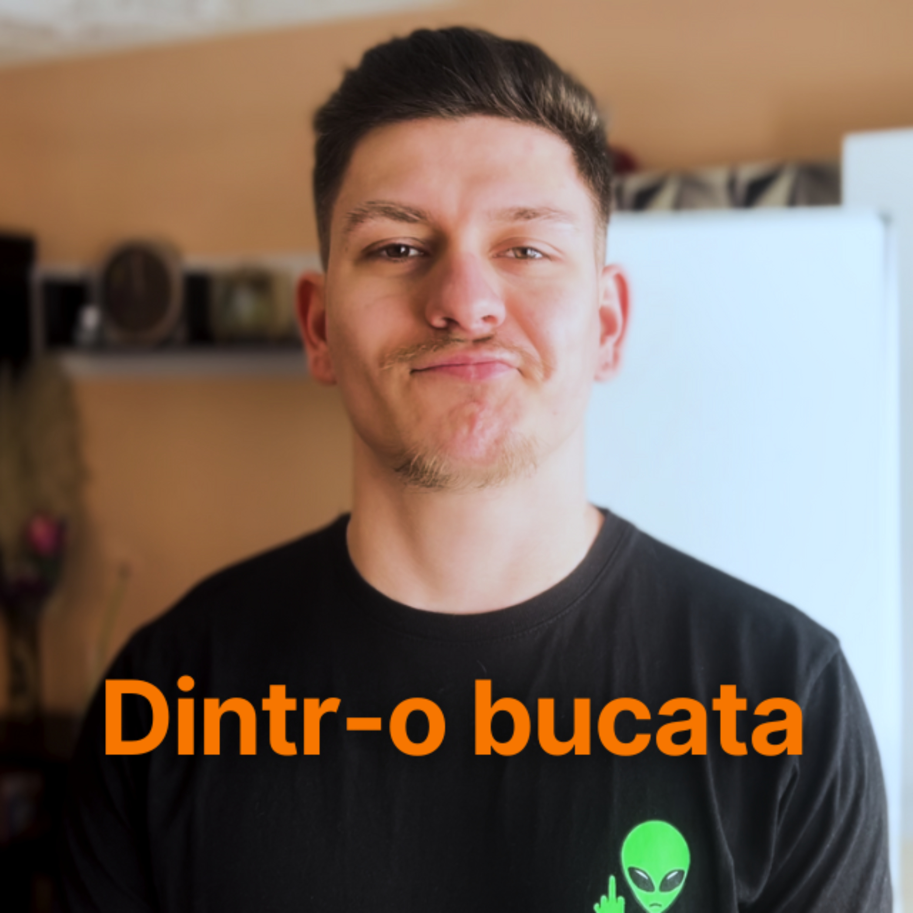 Dintr-o Bucata podcast artwork