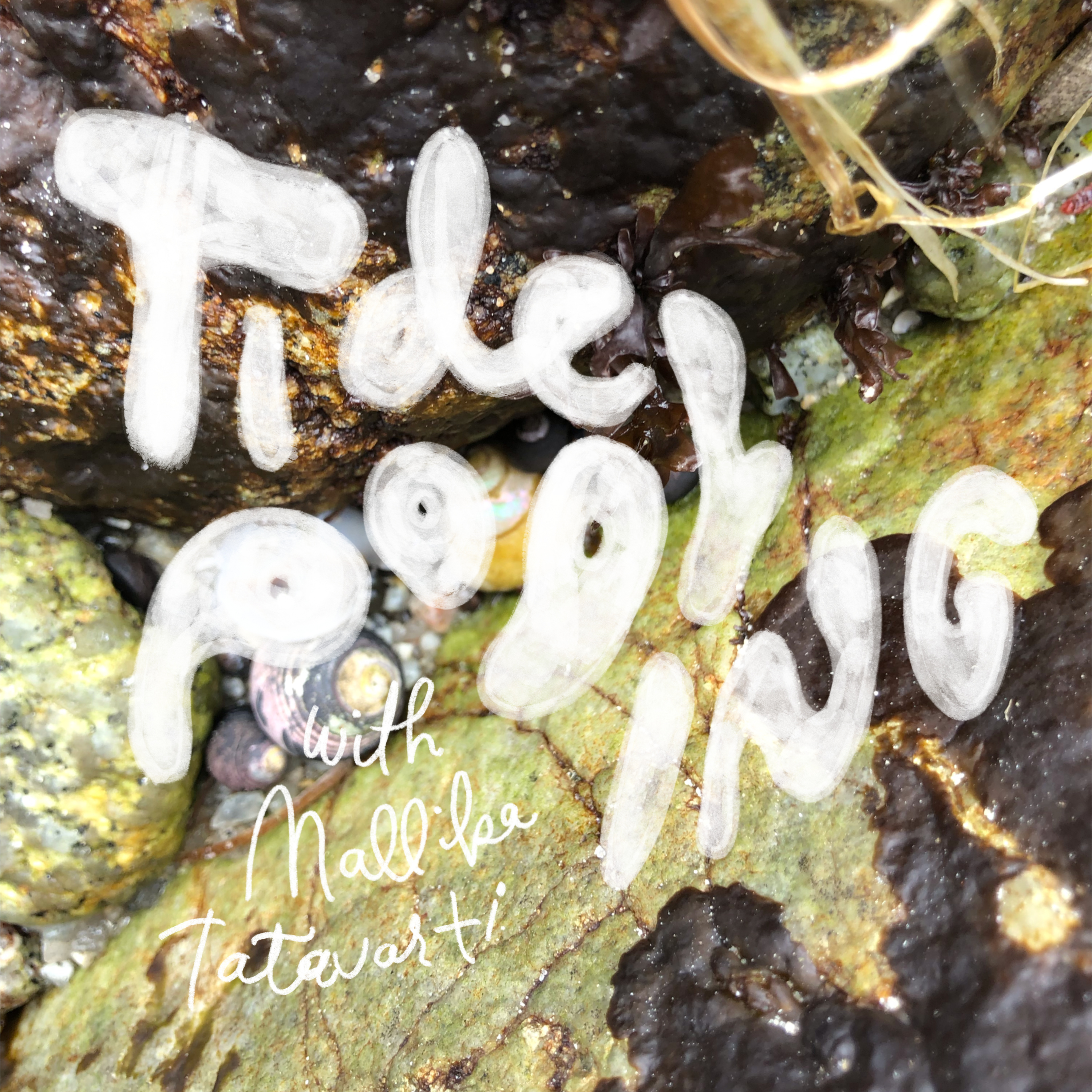 Tide Pooling podcast artwork