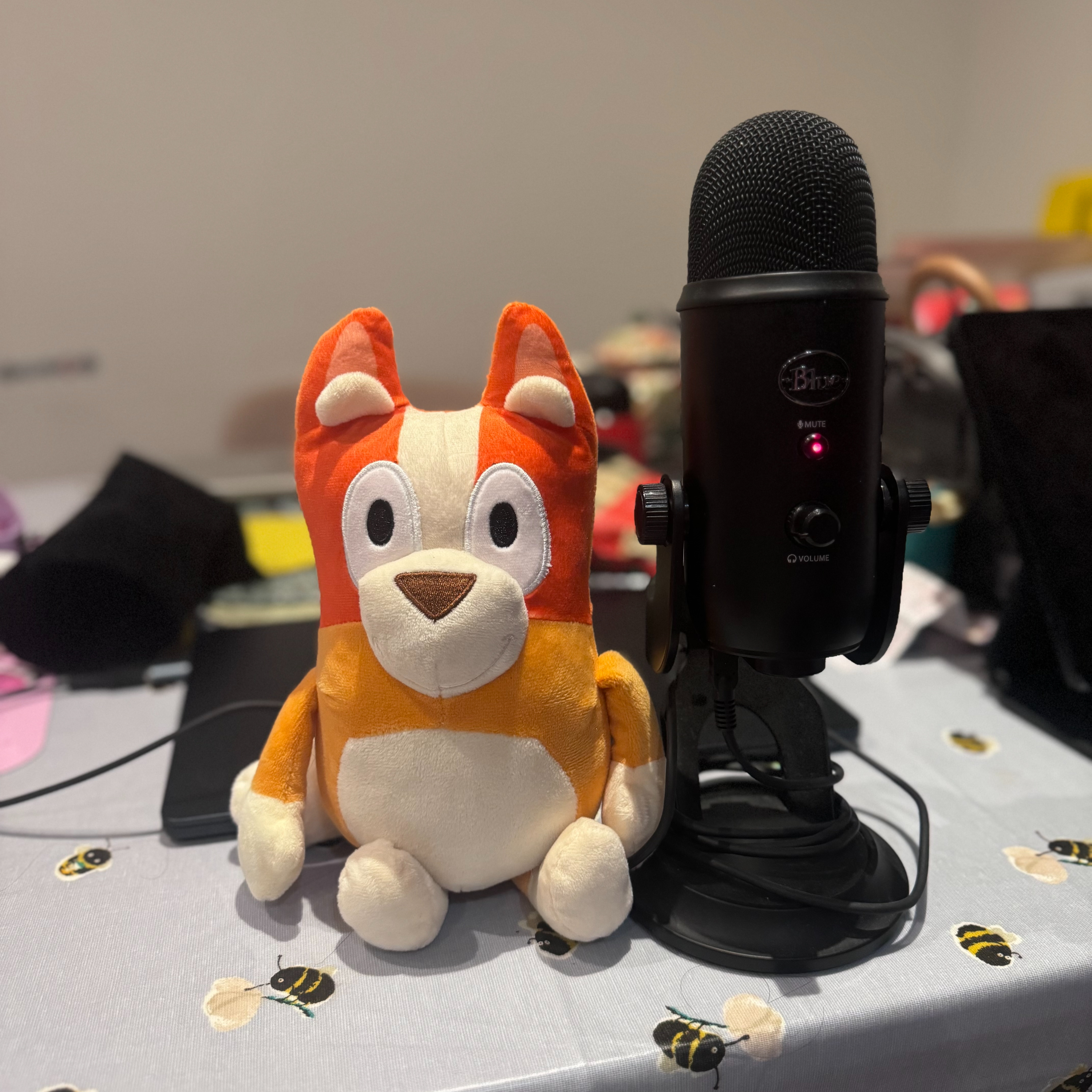 Bingo加个Y podcast artwork