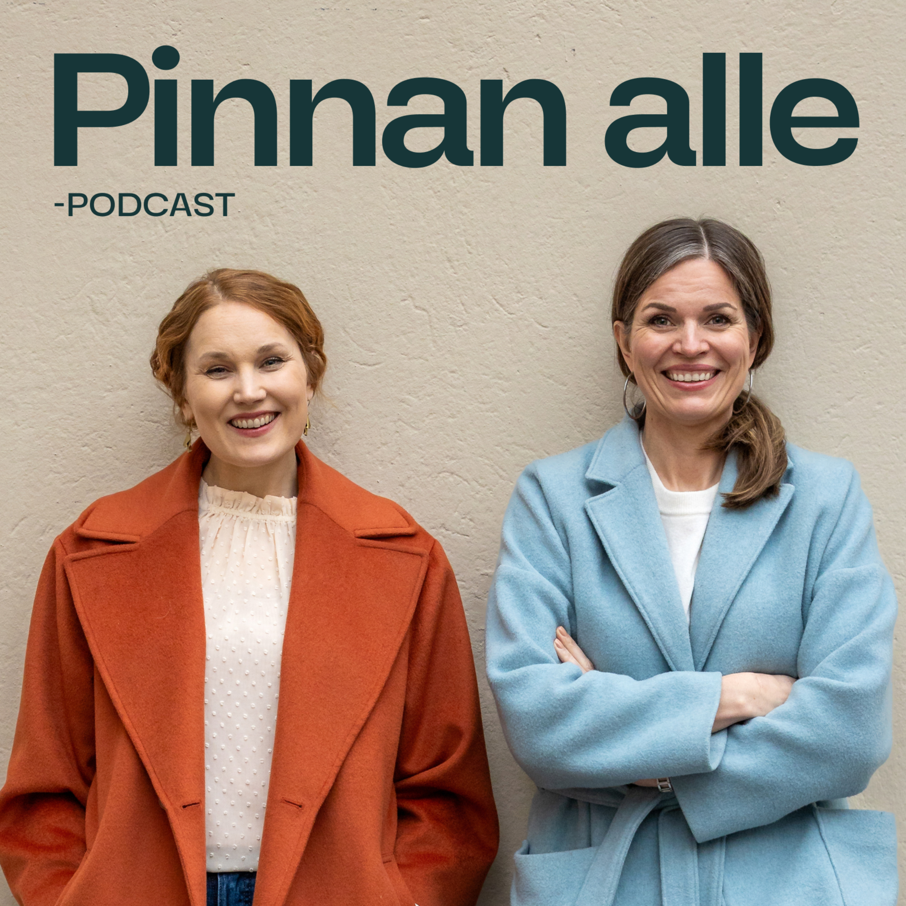 Pinnan alle