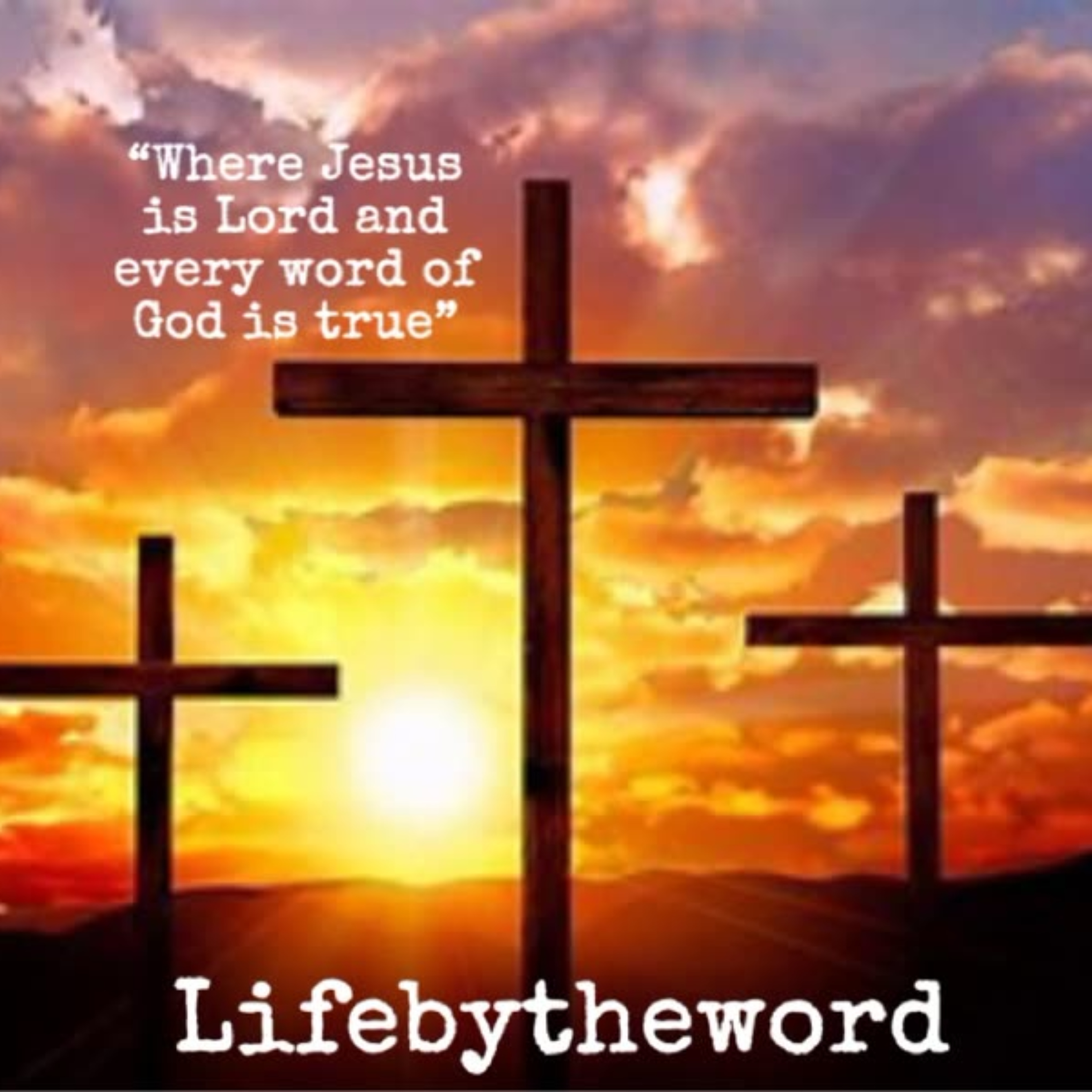 Lifebytheword podcast artwork