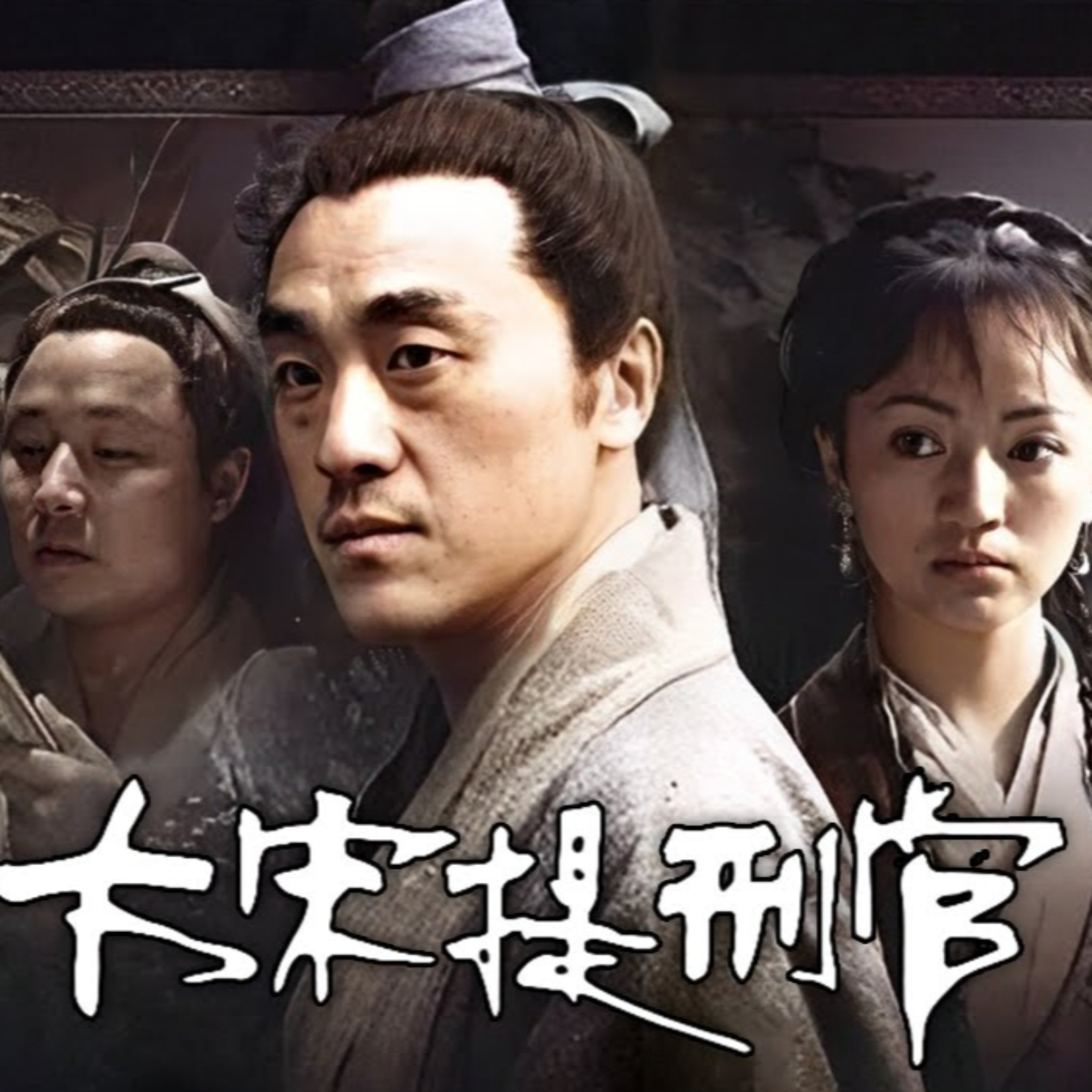 《大宋提刑官》悬疑推理，宋慈的事迹，《洗冤集录》，集律令、解剖学、药理、外科、骨科、检验学。