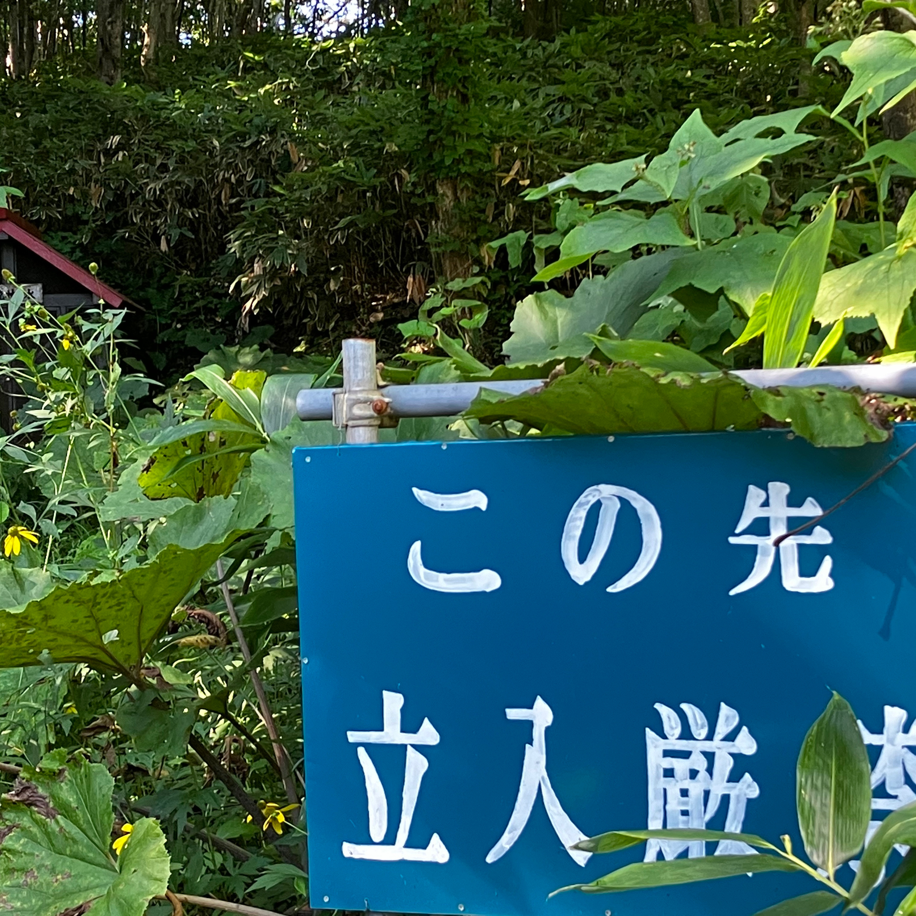 バクラジオ