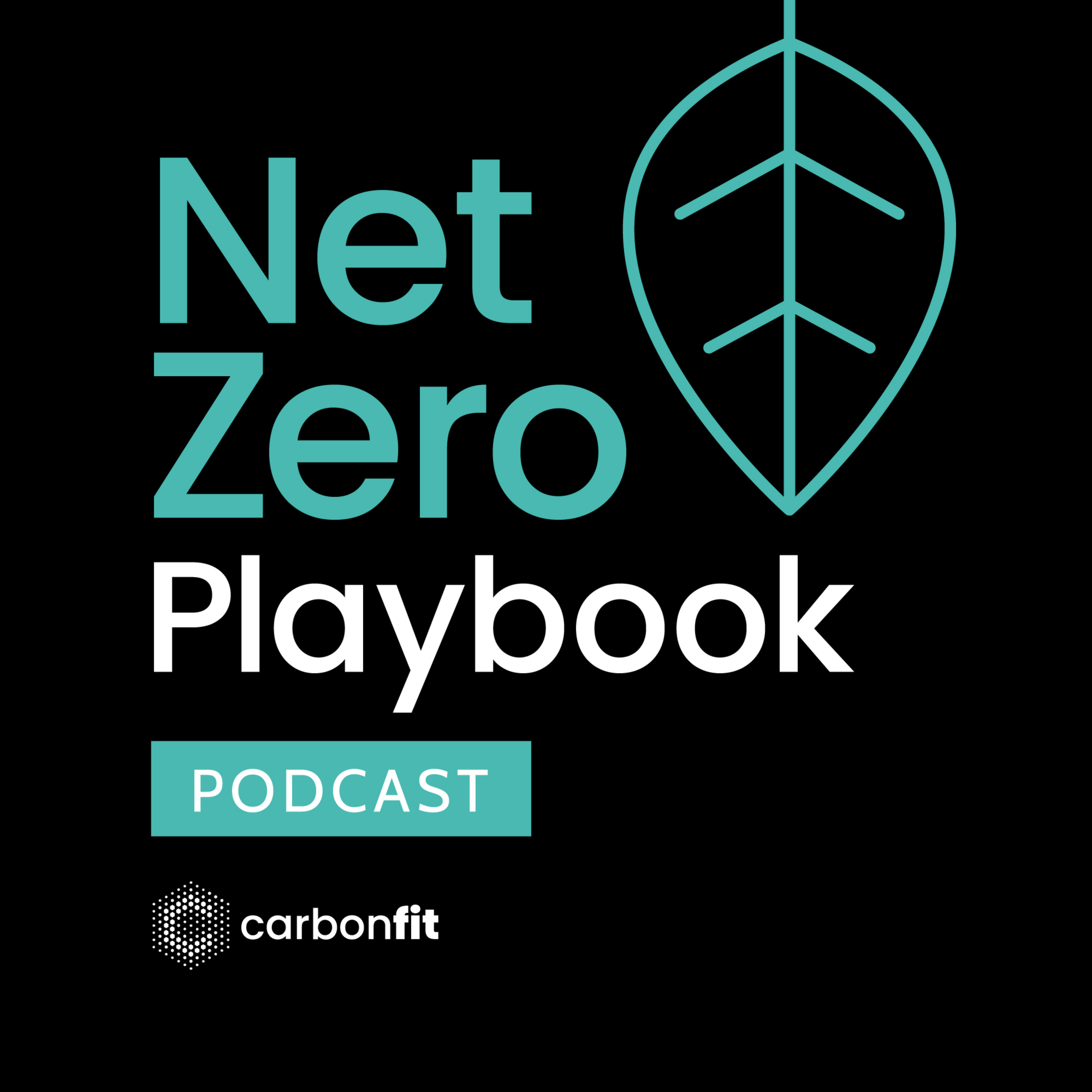 Net Zero Playbook