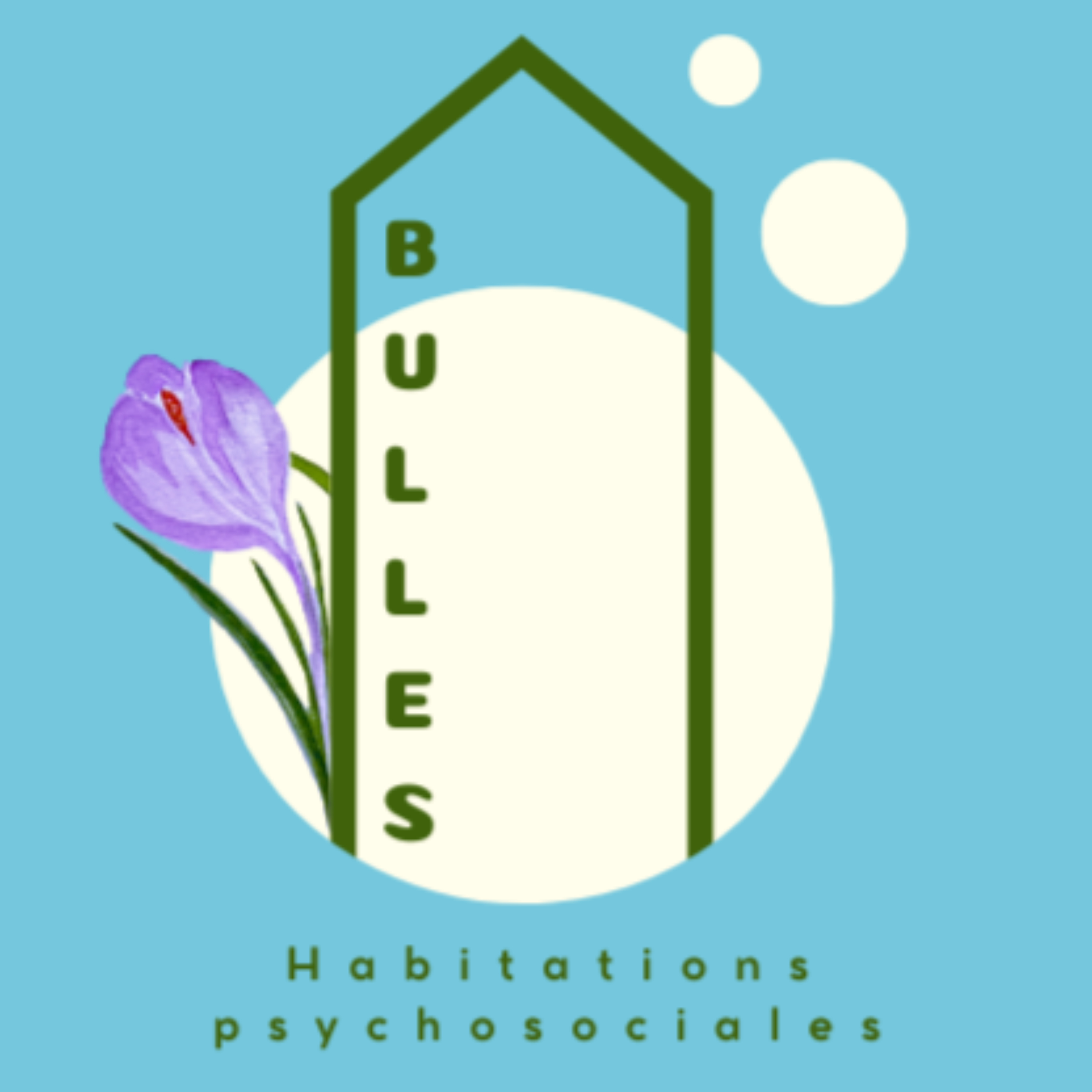 🫧 Des Bulles Familiales- Balado et OBNL en innovation sociale