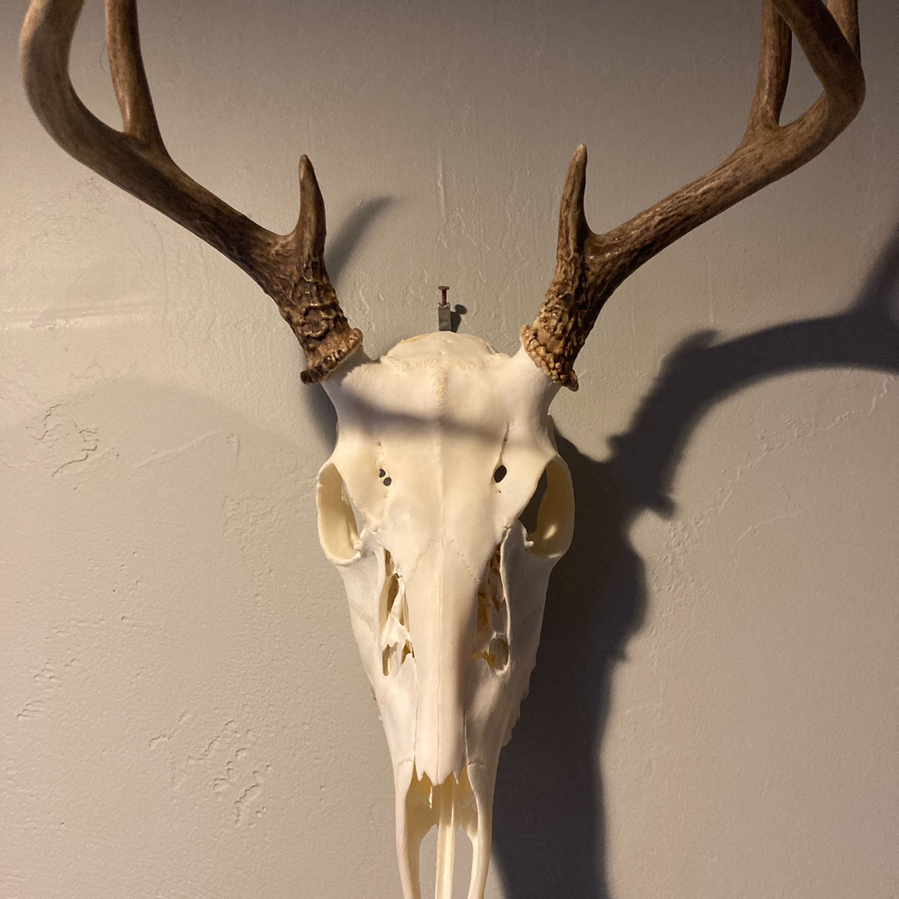 Ventures of the Land