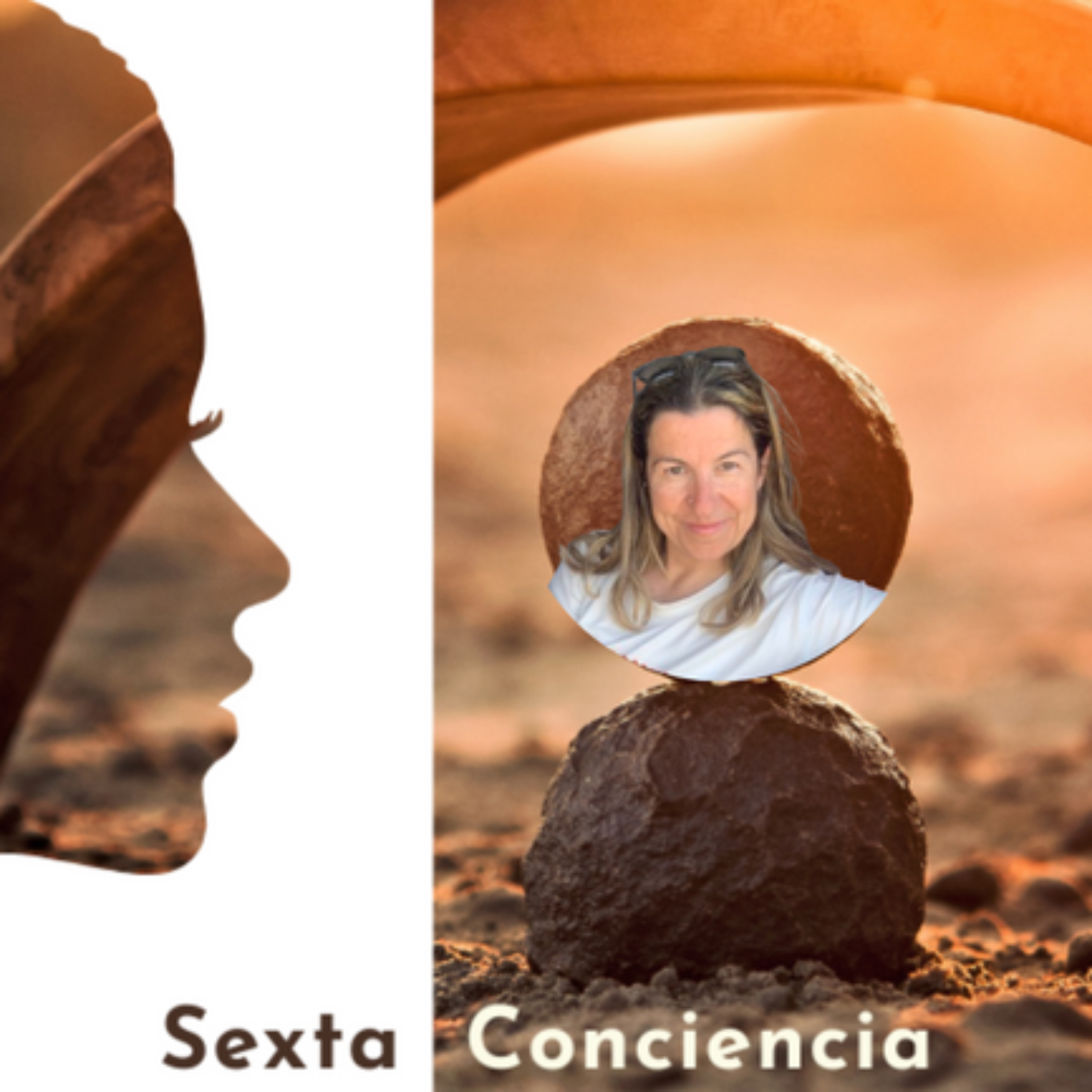 Sexta Conciencia