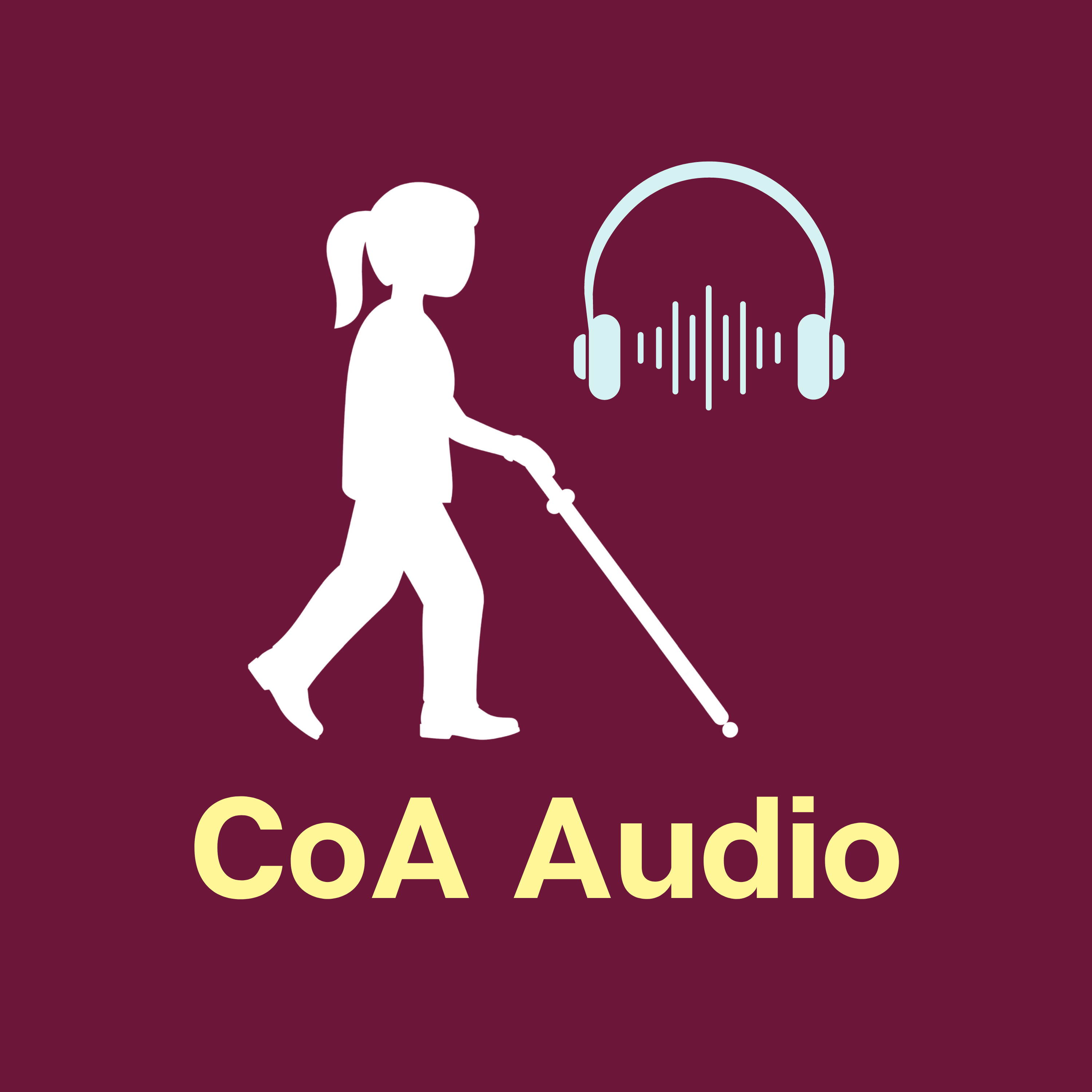 Carrie on Accessibility (Epic Ally)