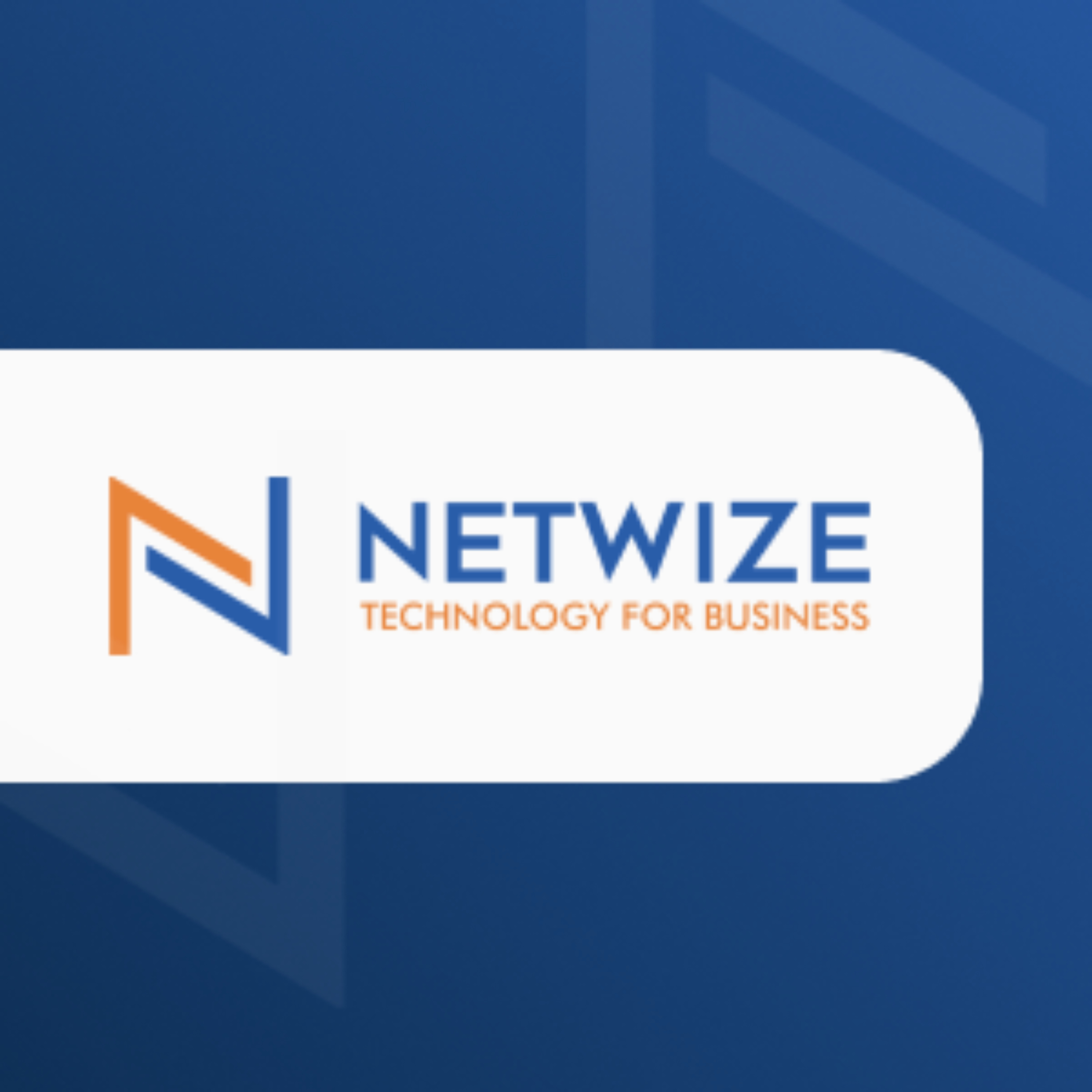 NetWize