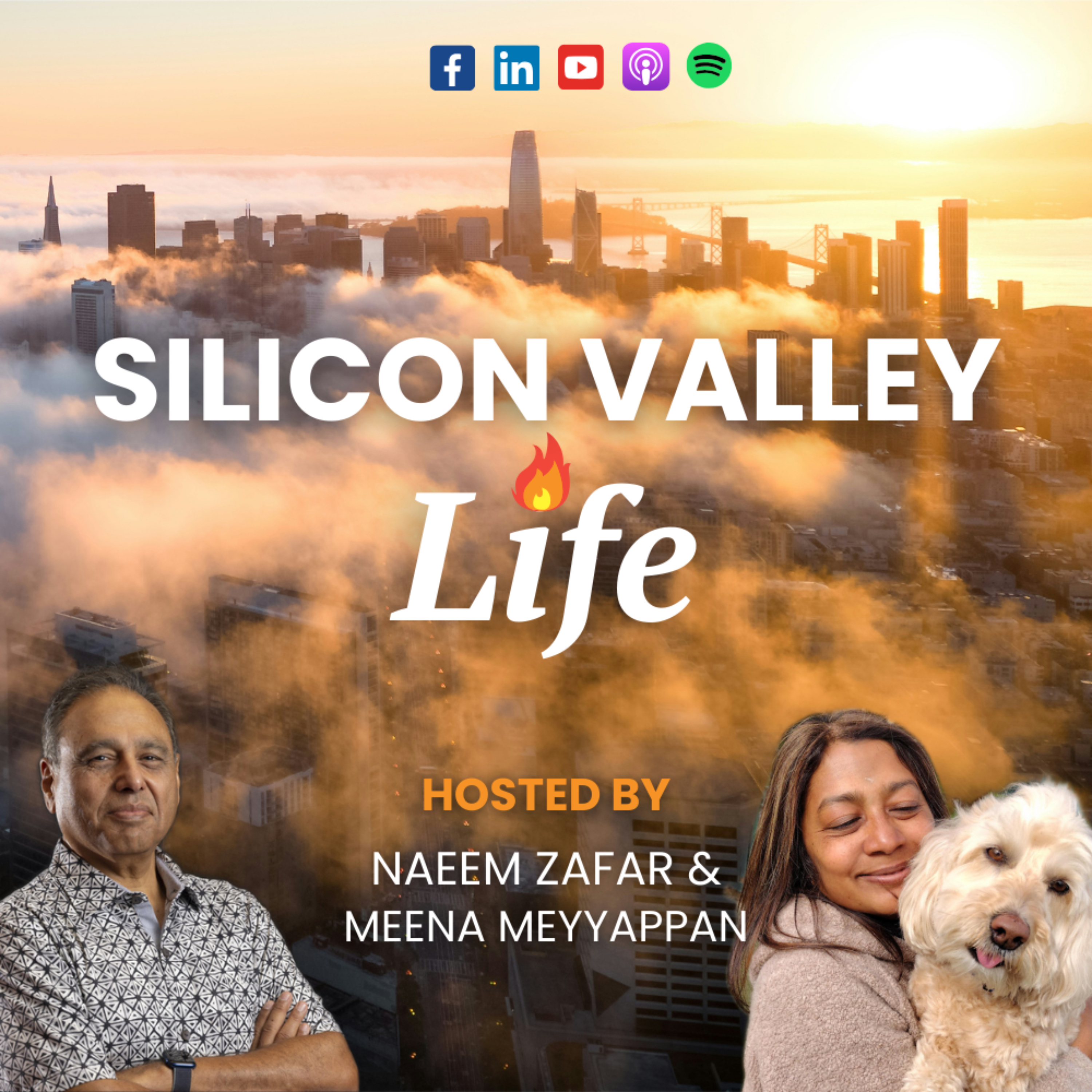 Silicon Valley Life
