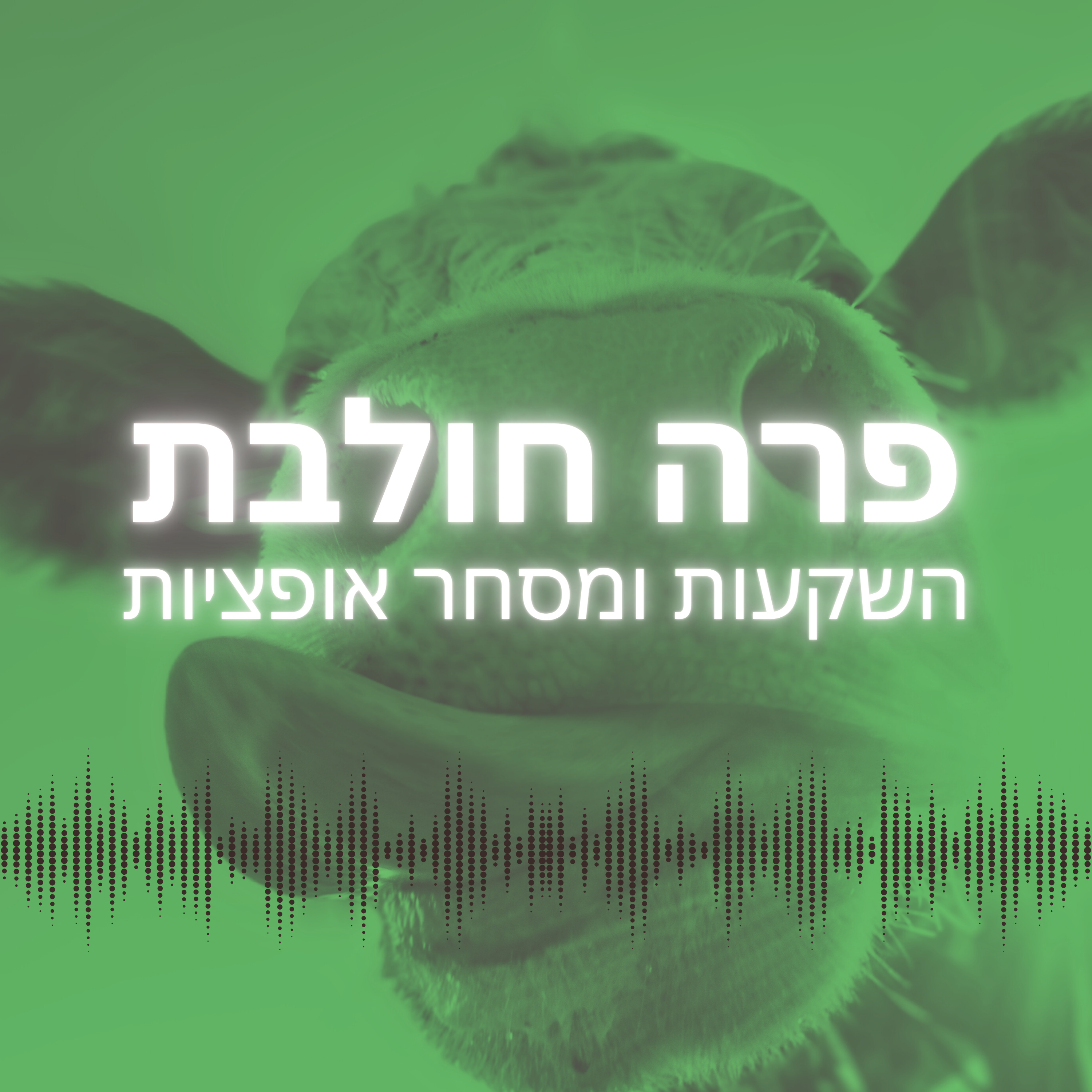 פרה חולבת - פודקאסט על השקעות ומסחר אופציות cover art