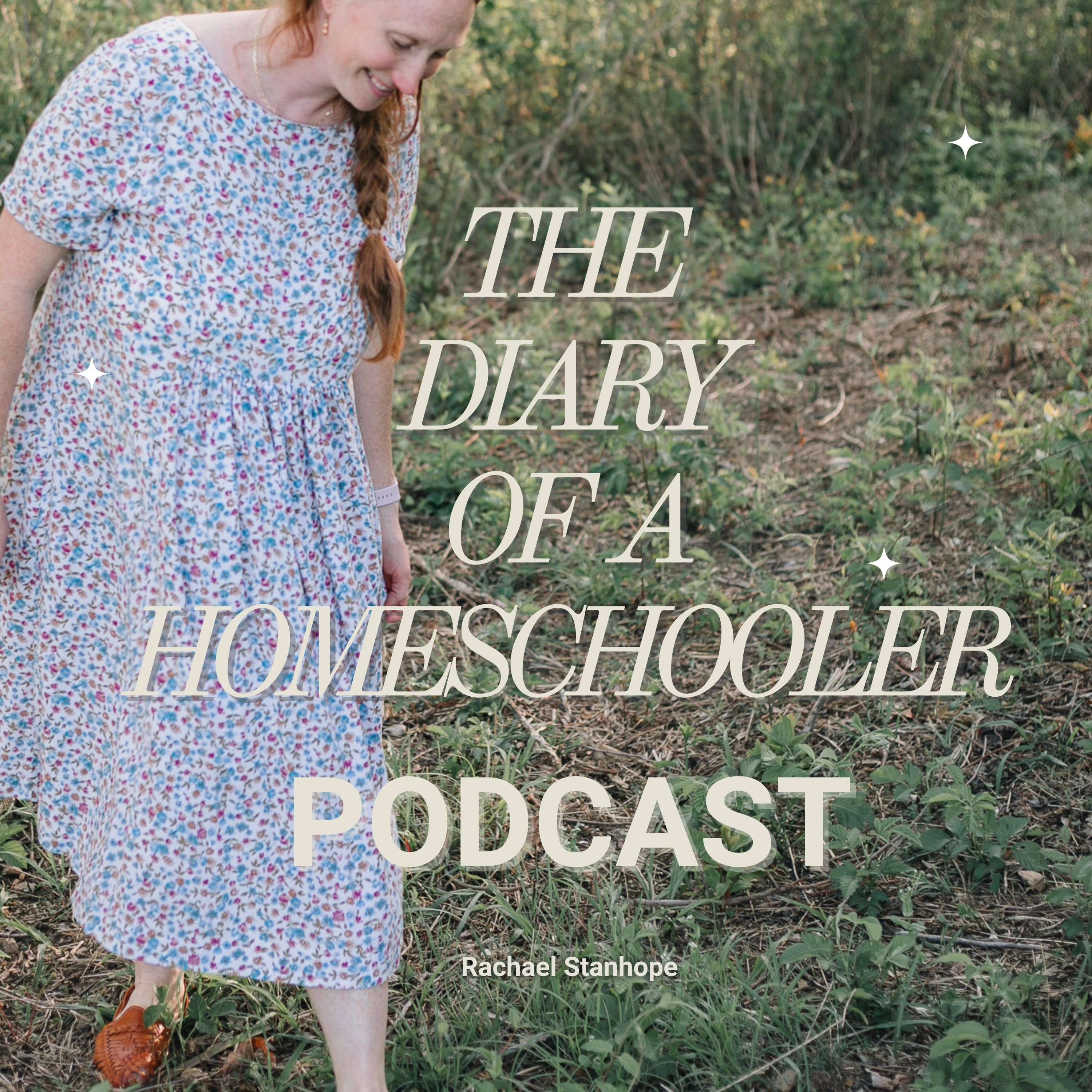 The Diary Of A Homeschooler