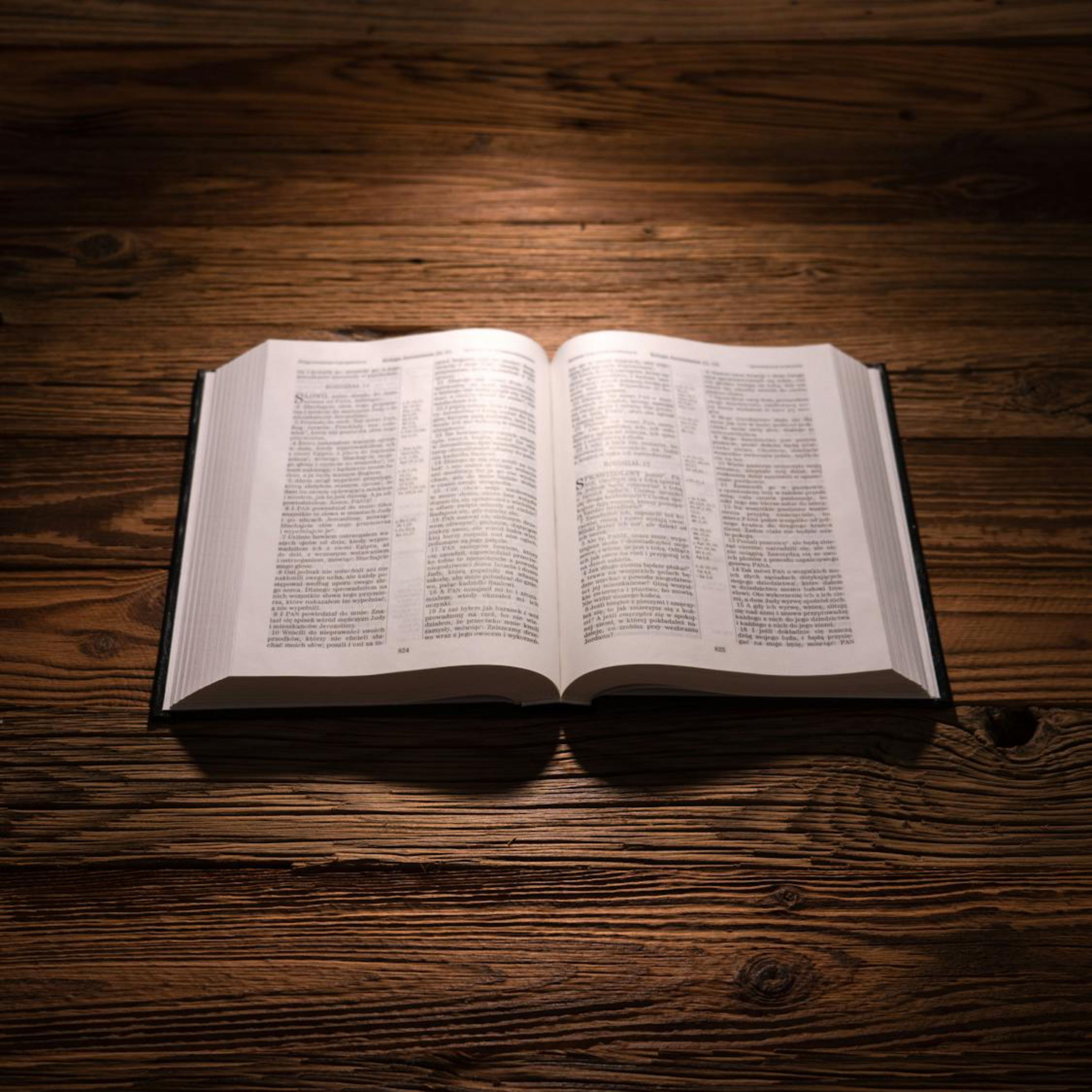 Réflexions prophétiques et bibliques podcast artwork