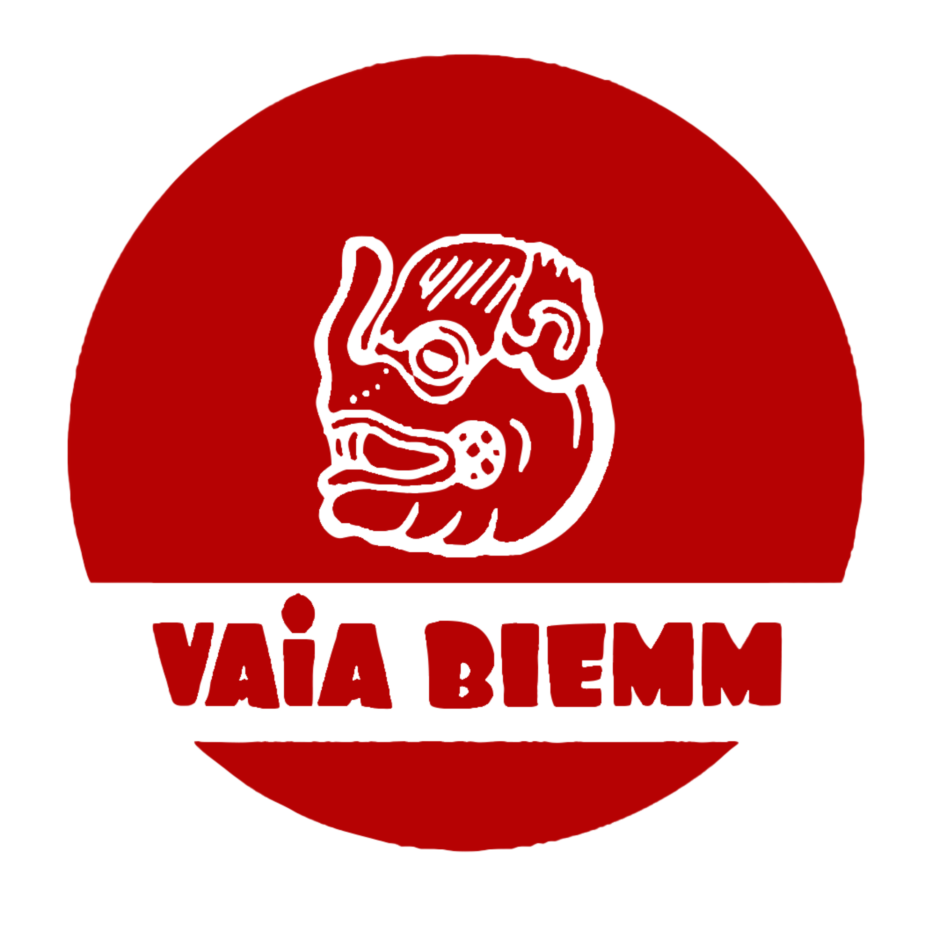 VAIA BIEMM podcast artwork