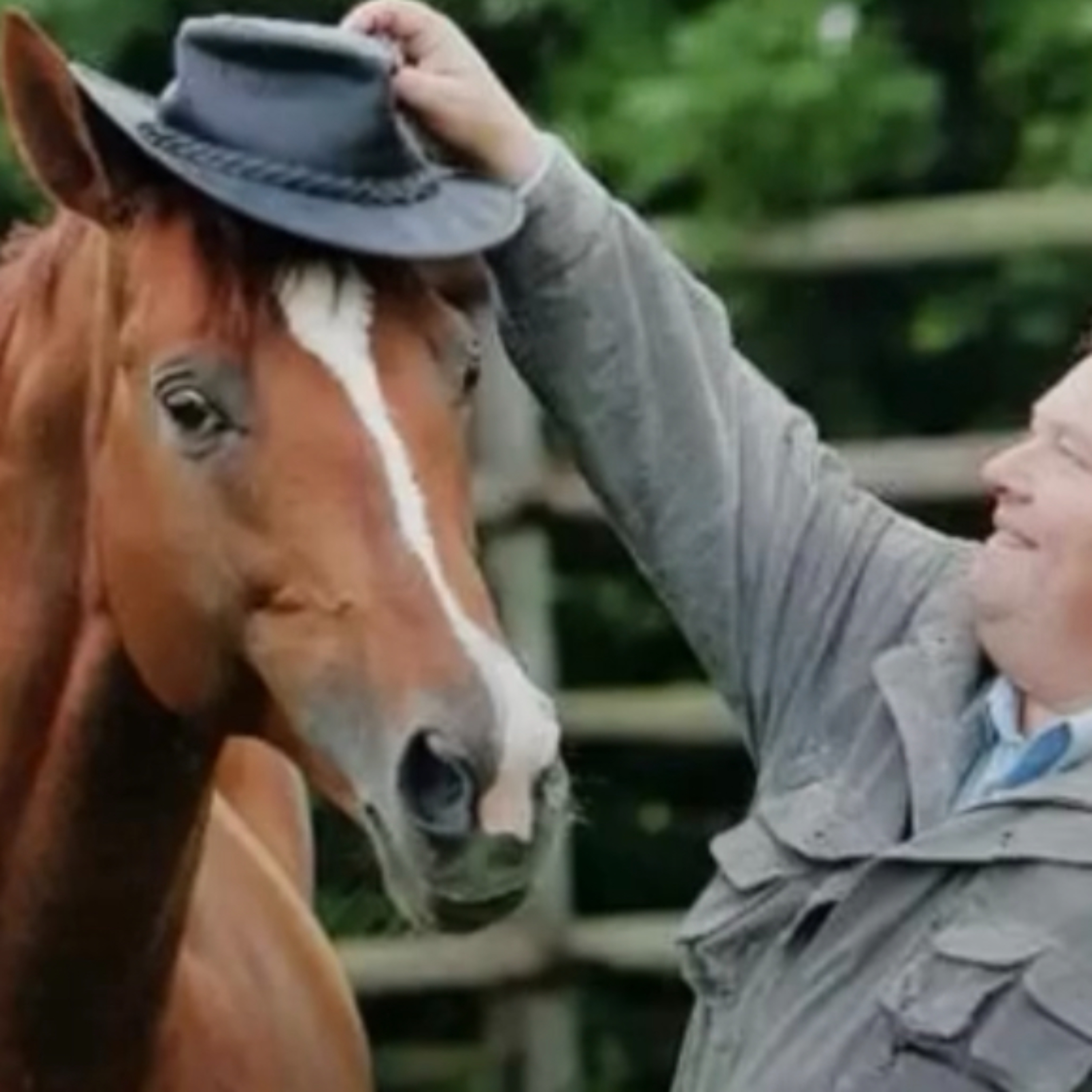 Mein Weg... die philosophische Ecke cover art