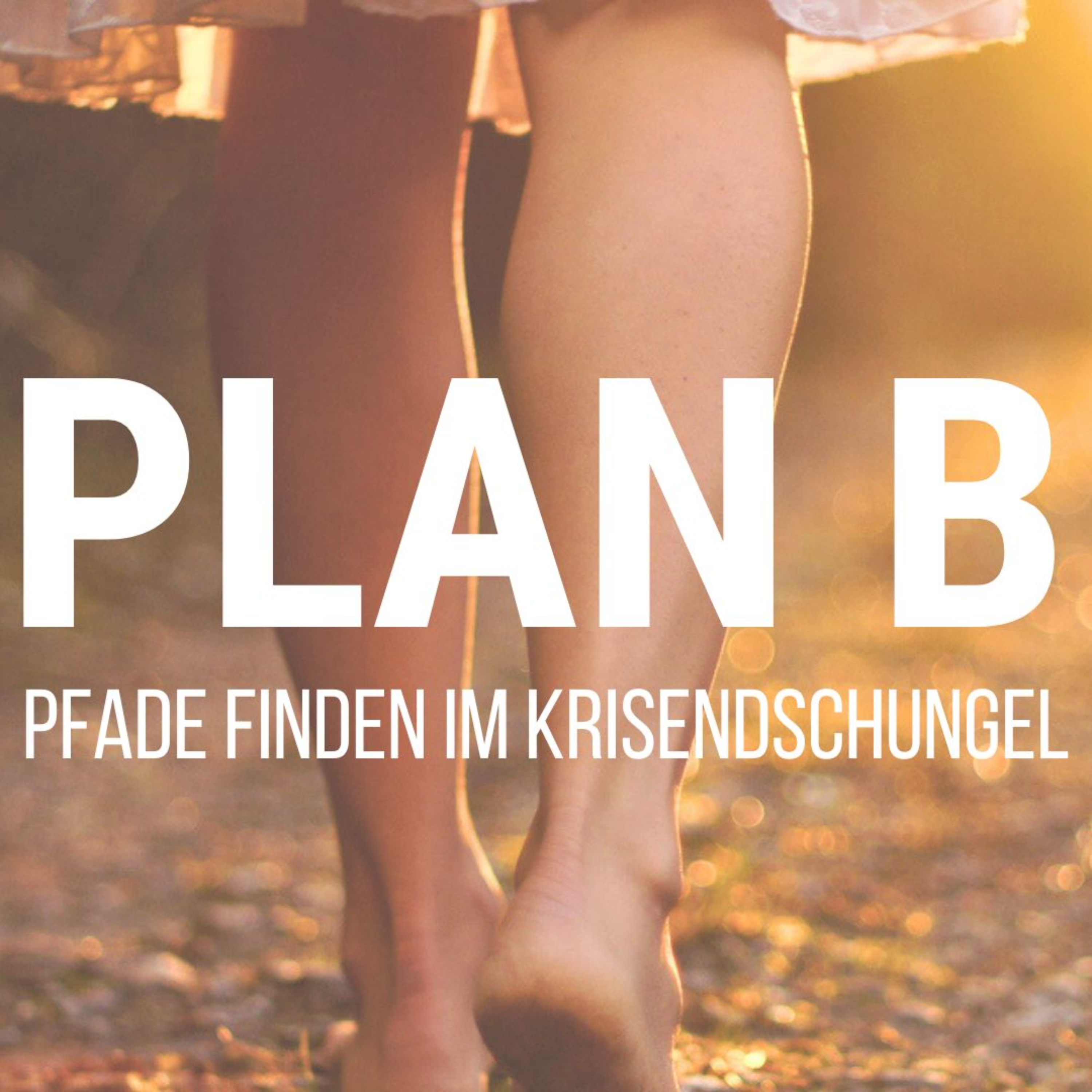 PLAN B - raus aus einer gewaltigen globalen Schieflage