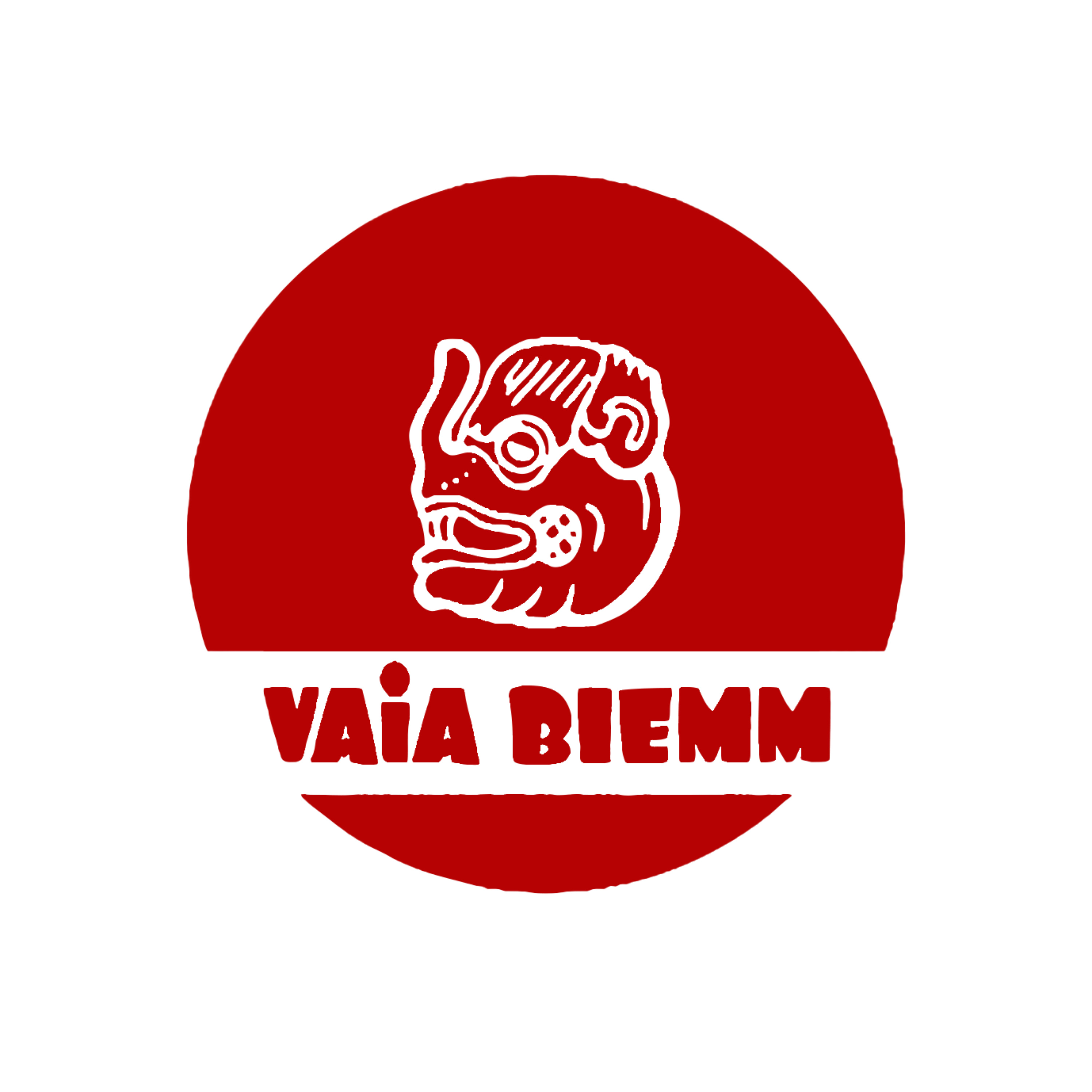 VAIA BIEMM con los audiolibros podcast artwork