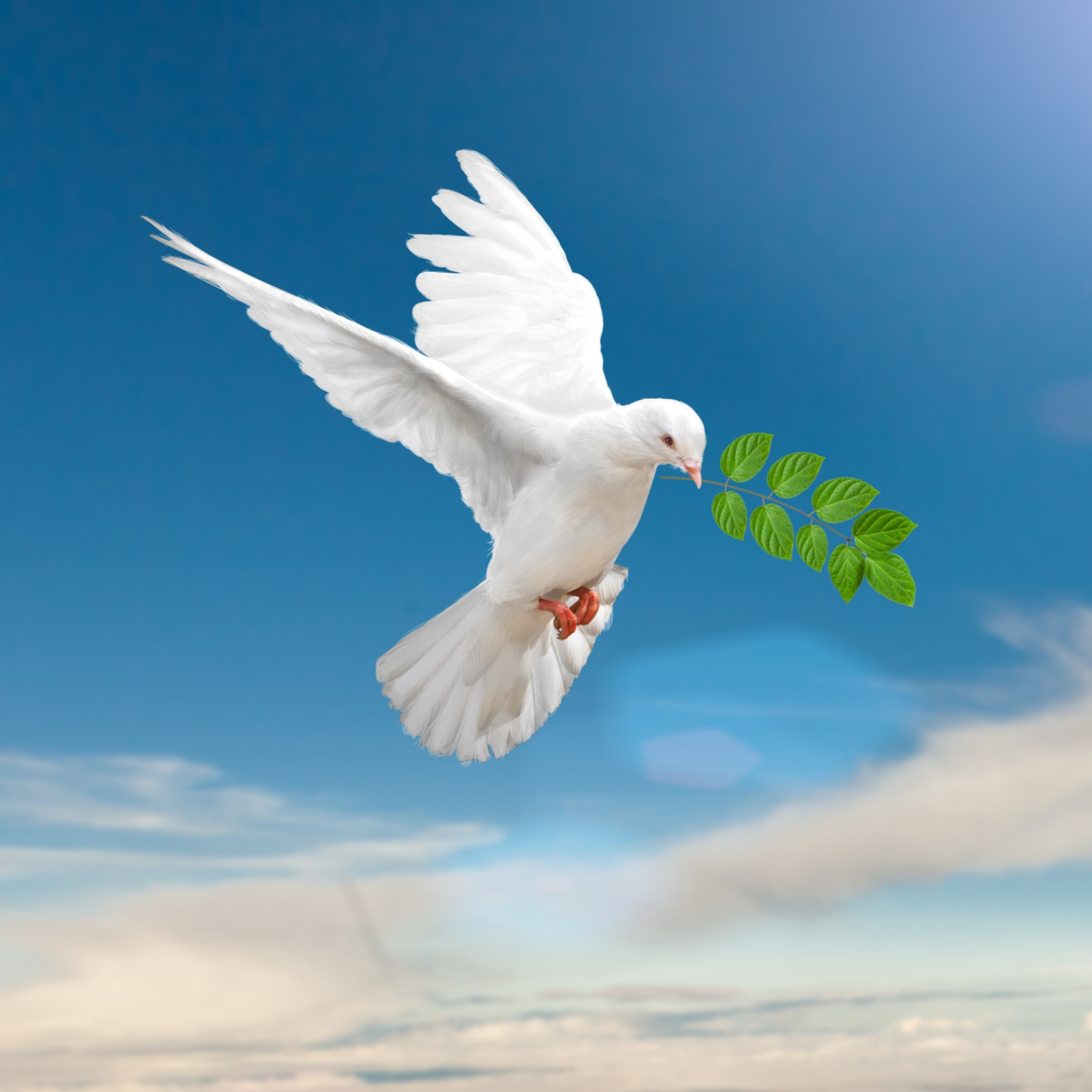 41069964-1714092439235-06710a52450d7 Terapia da Paz