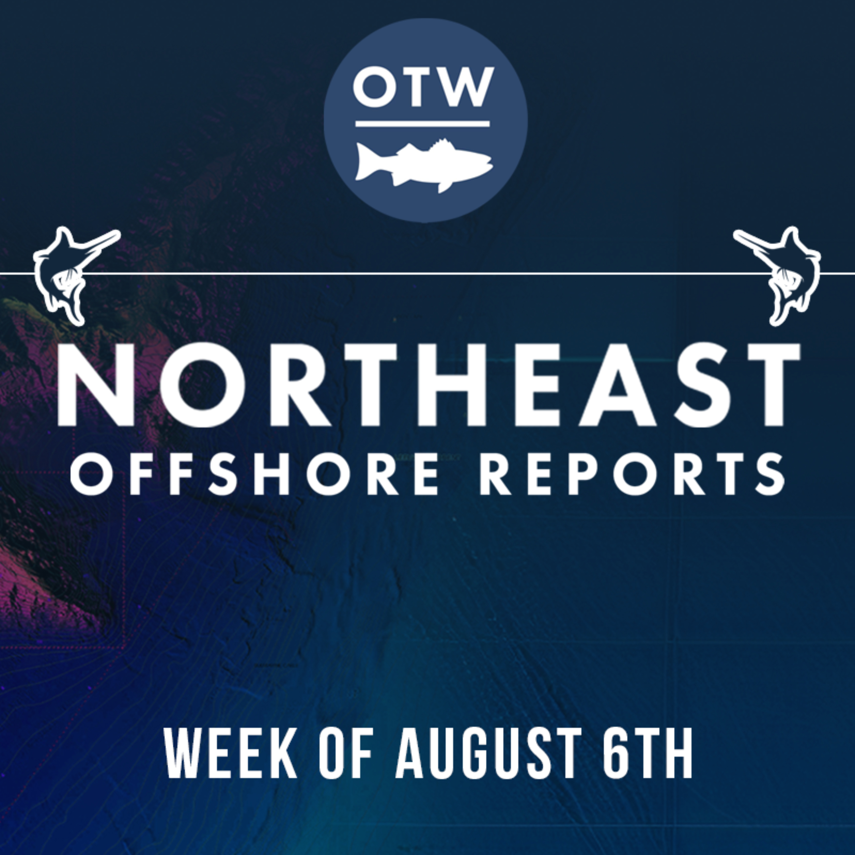 Northeast Offshore Fishing Report