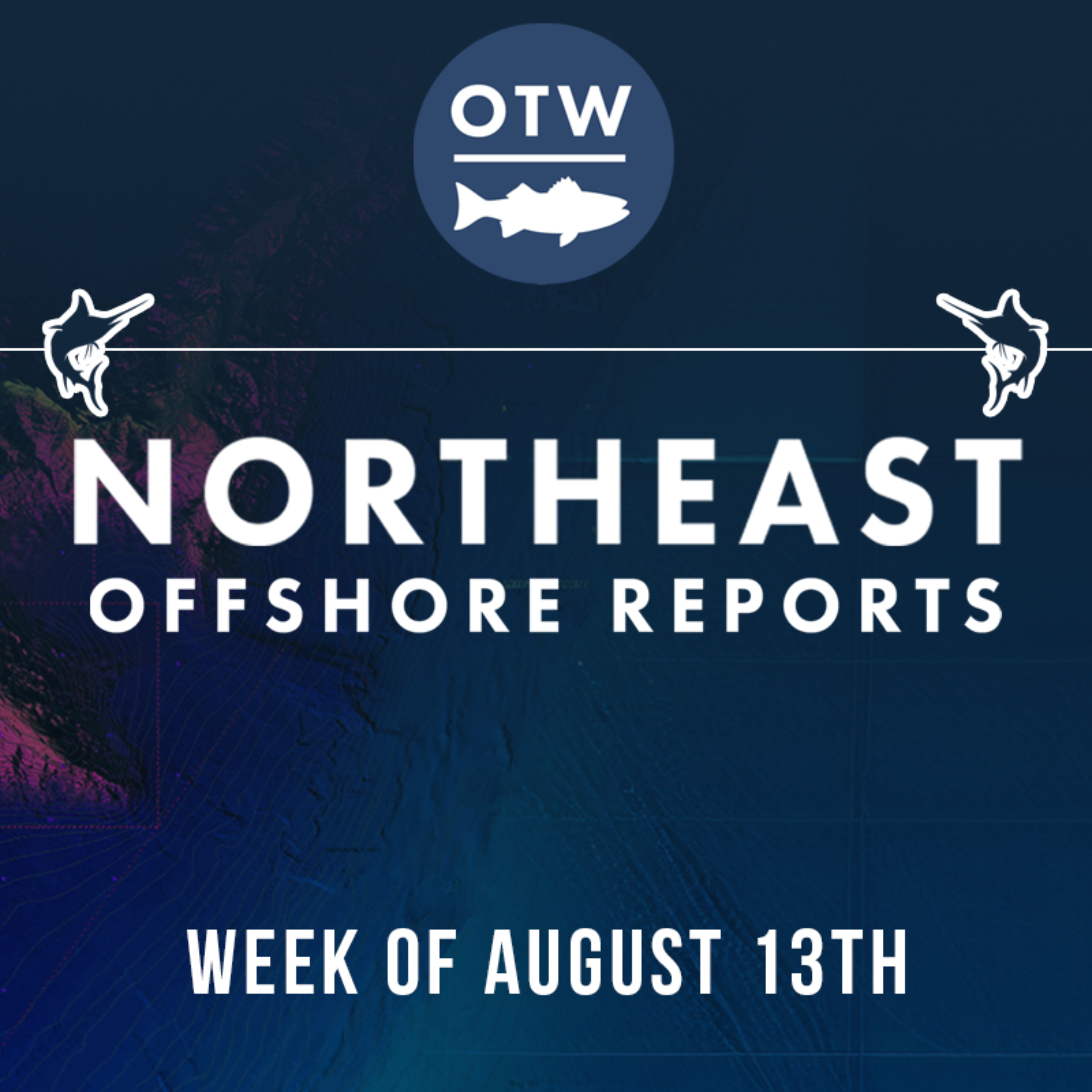Northeast Offshore Fishing Report