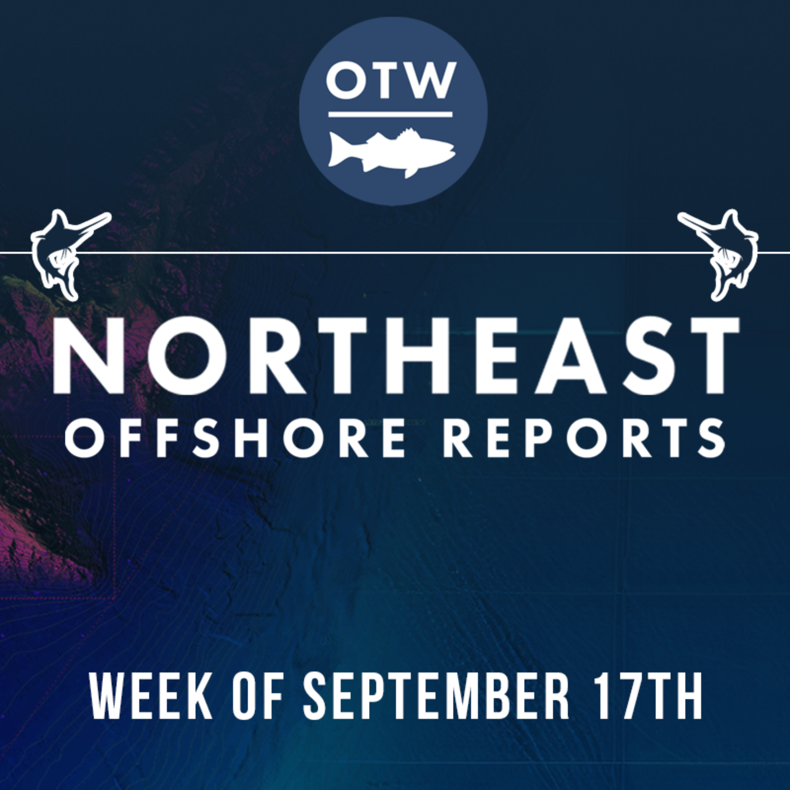 Northeast Offshore Fishing Report