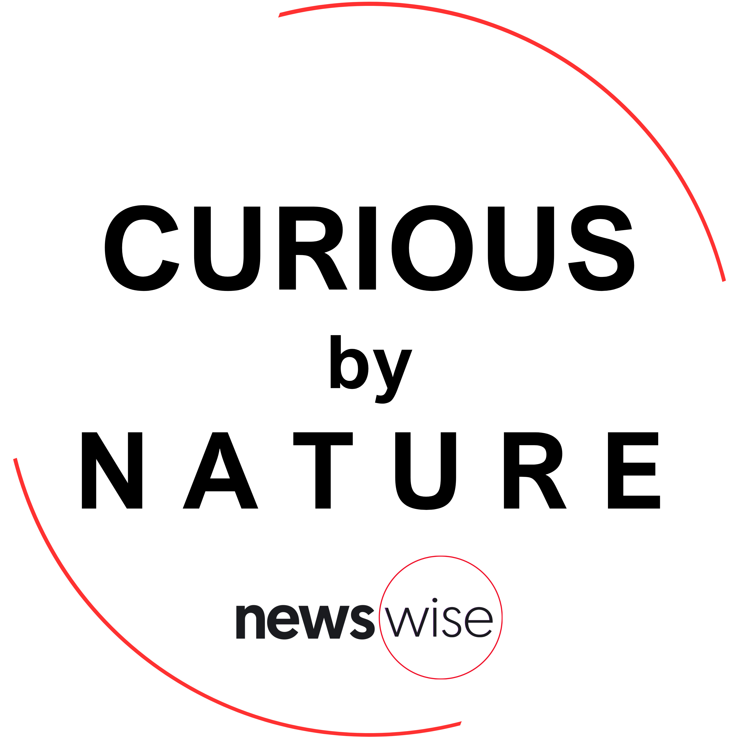 Curious by Nature