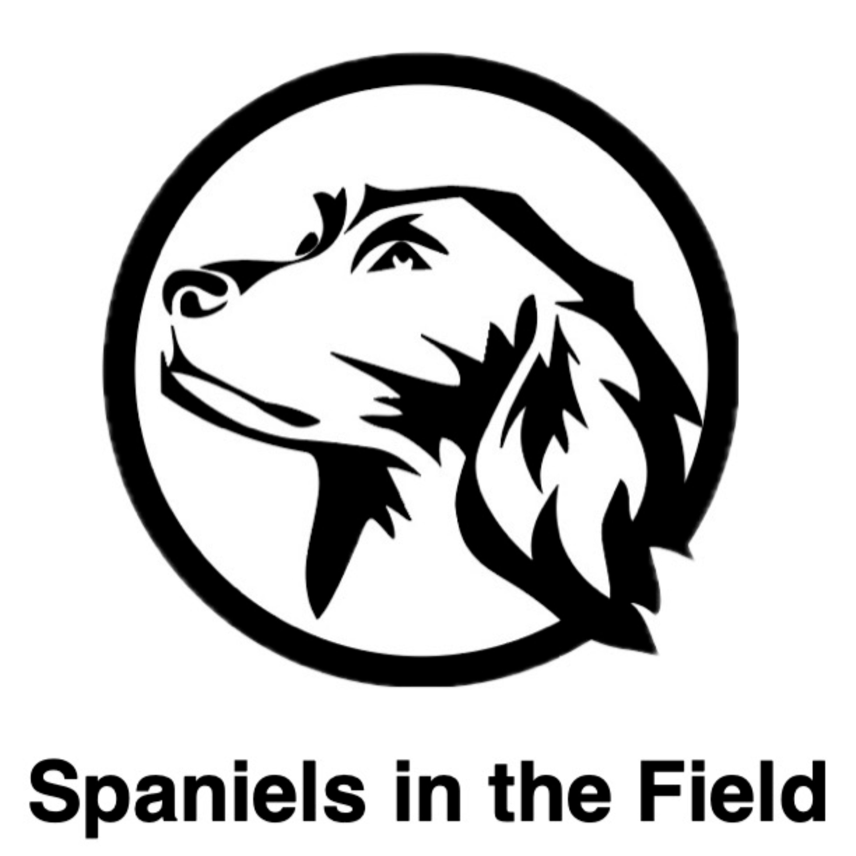 Spaniels In The Field 