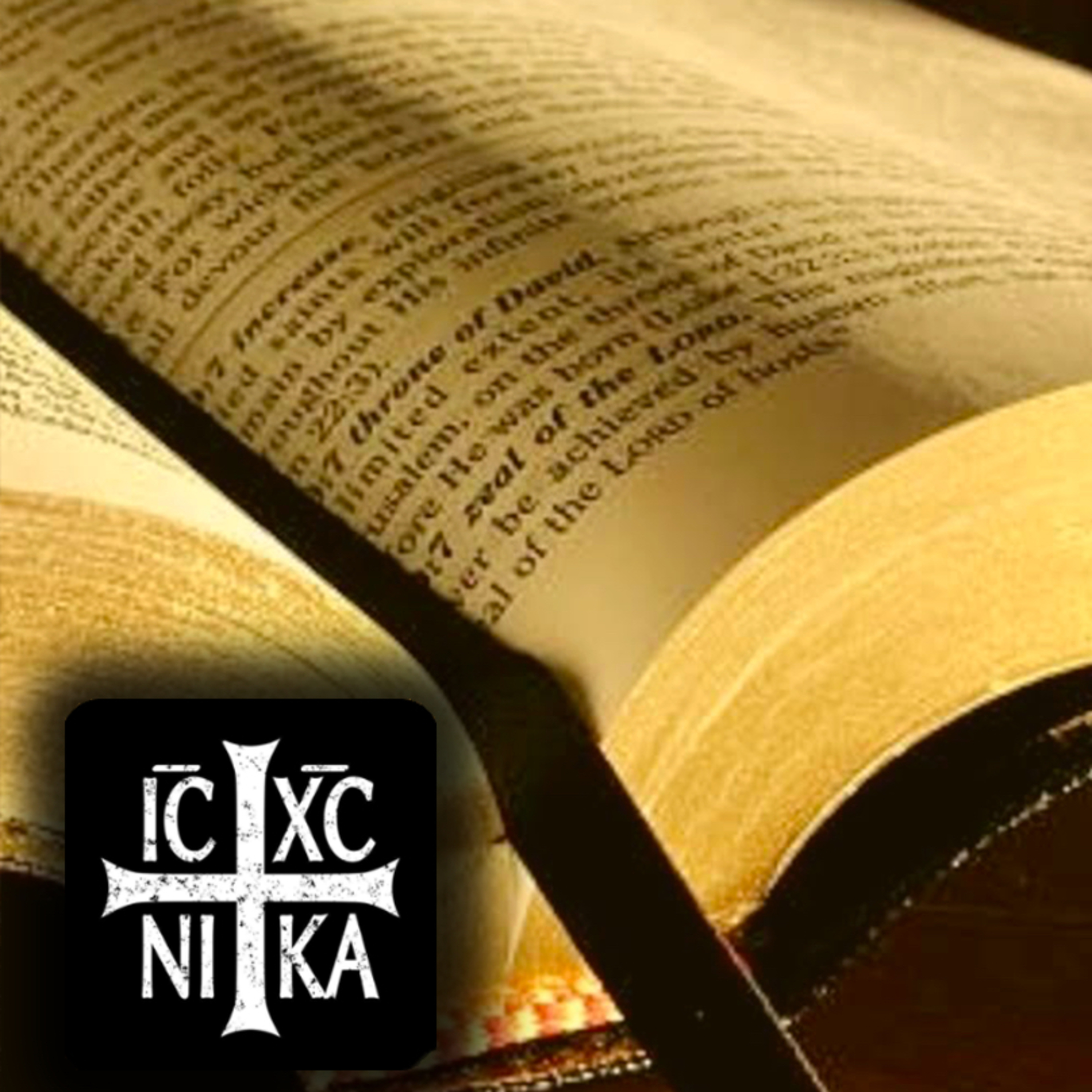 新约圣经 (The New Testament in Chinese)