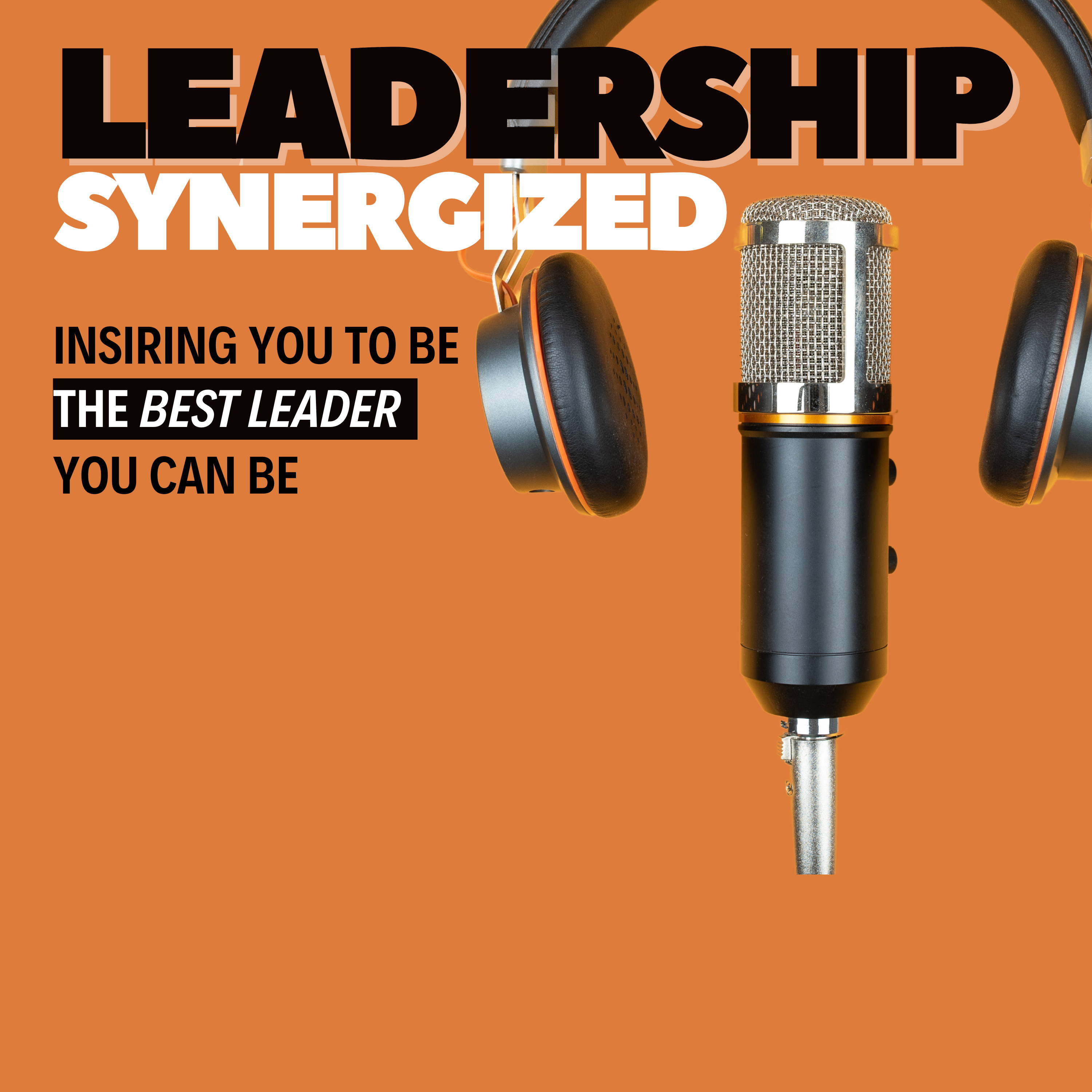 Leadership Synergized