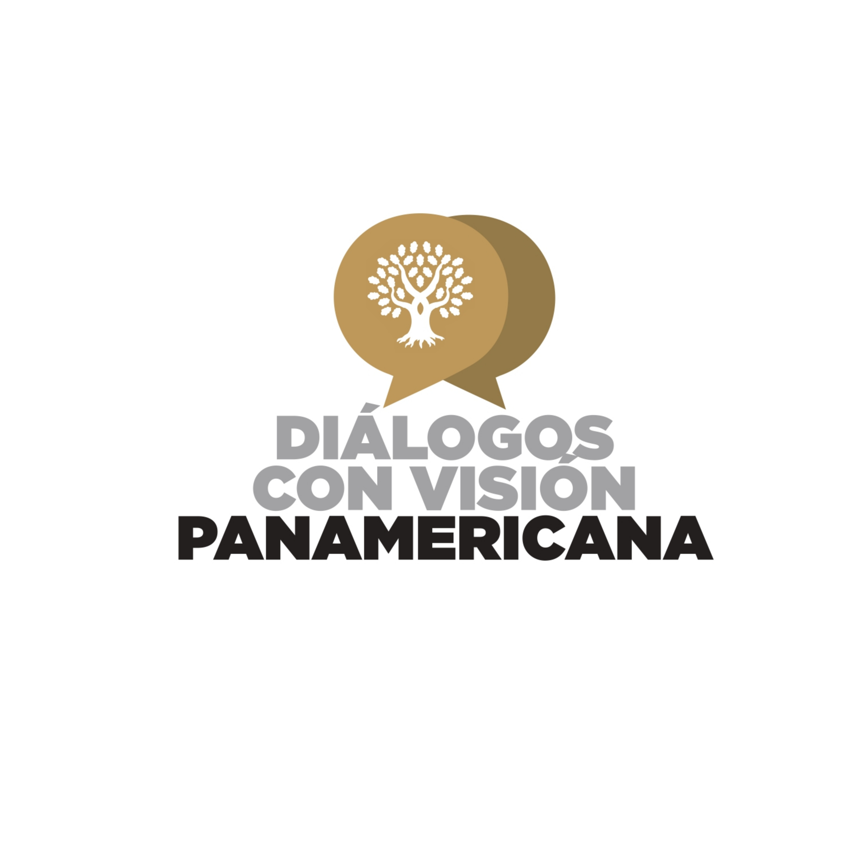 Diálogos con Visión Panamericana