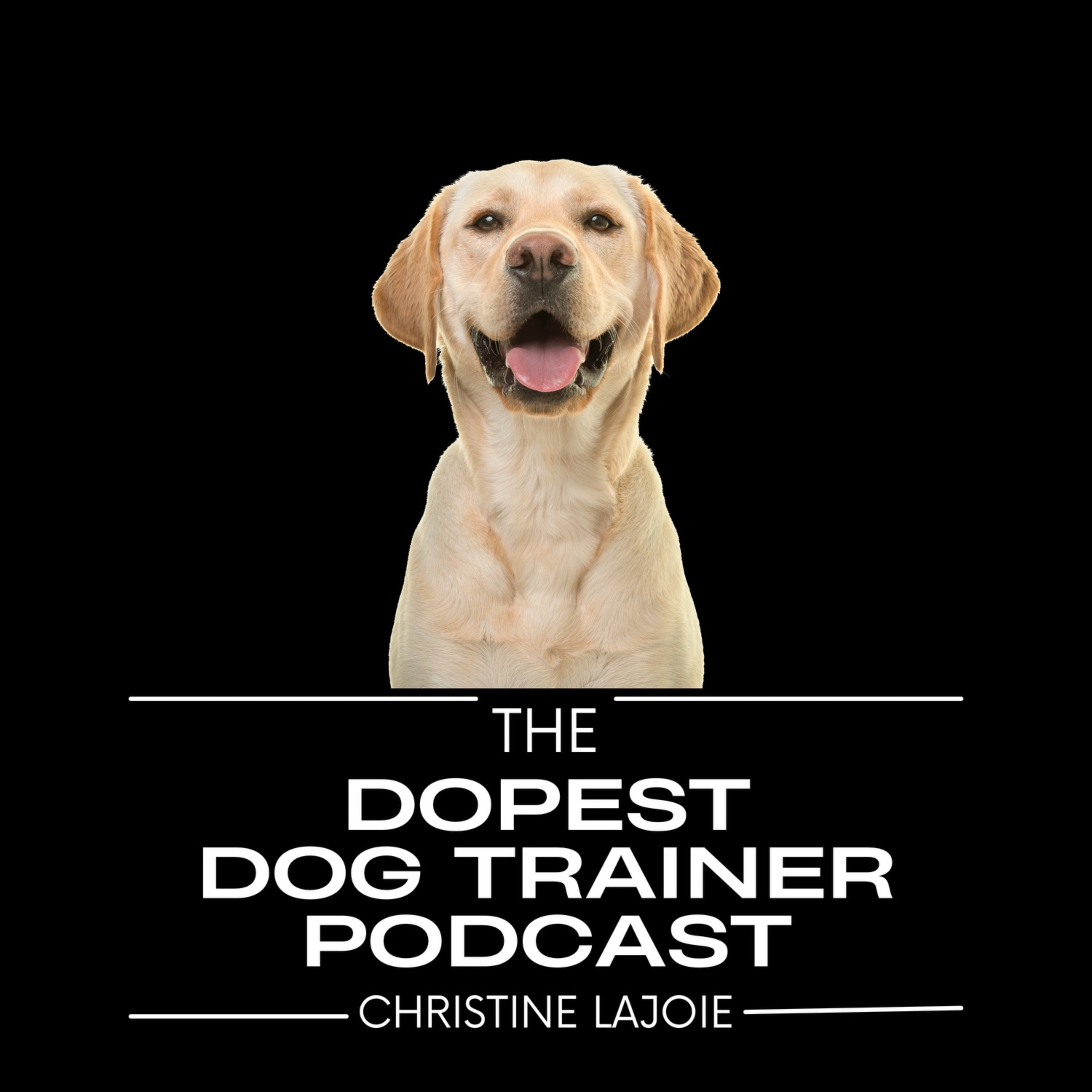 The Dopest Dog Trainer Podcast