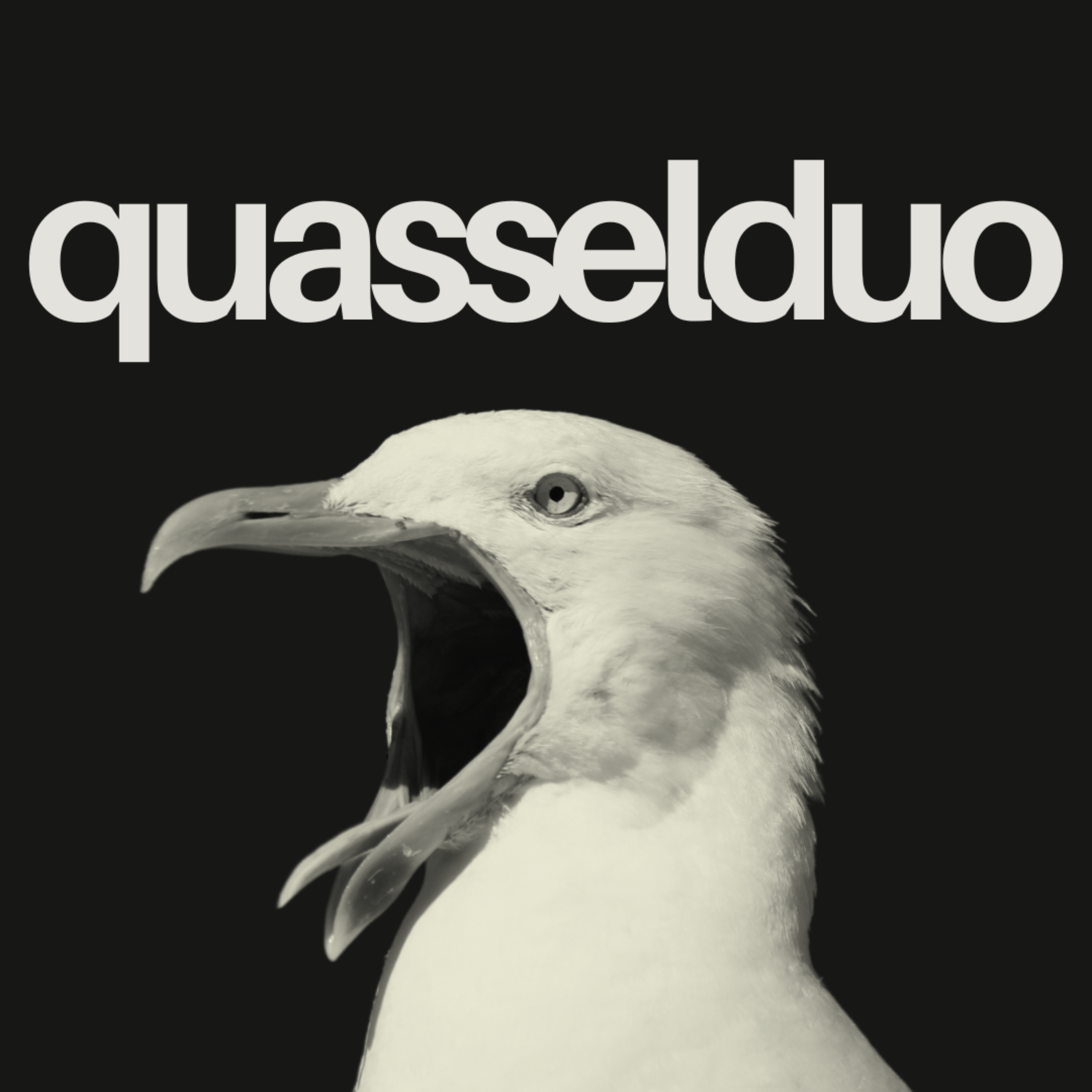 Quasselduo