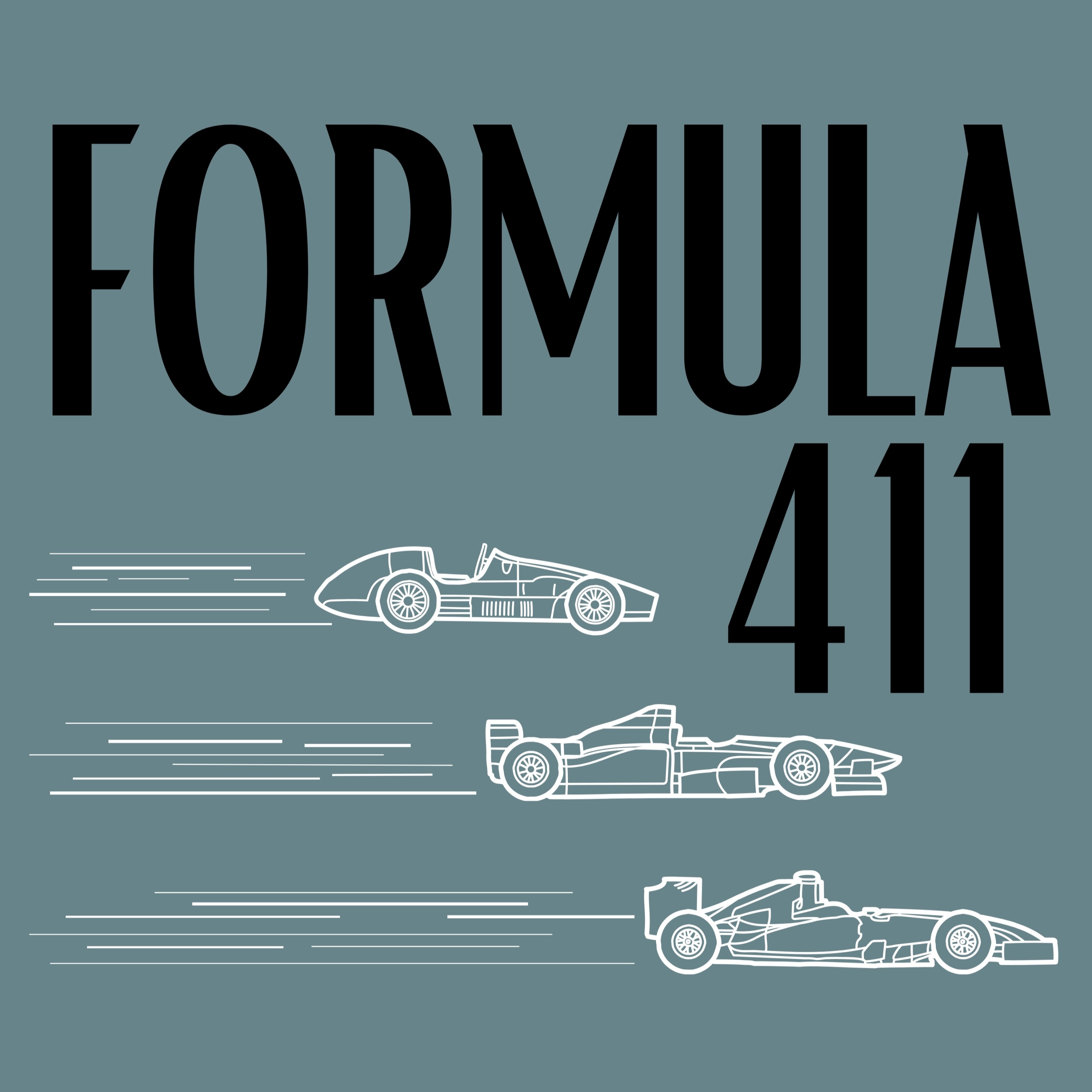 Formula 411