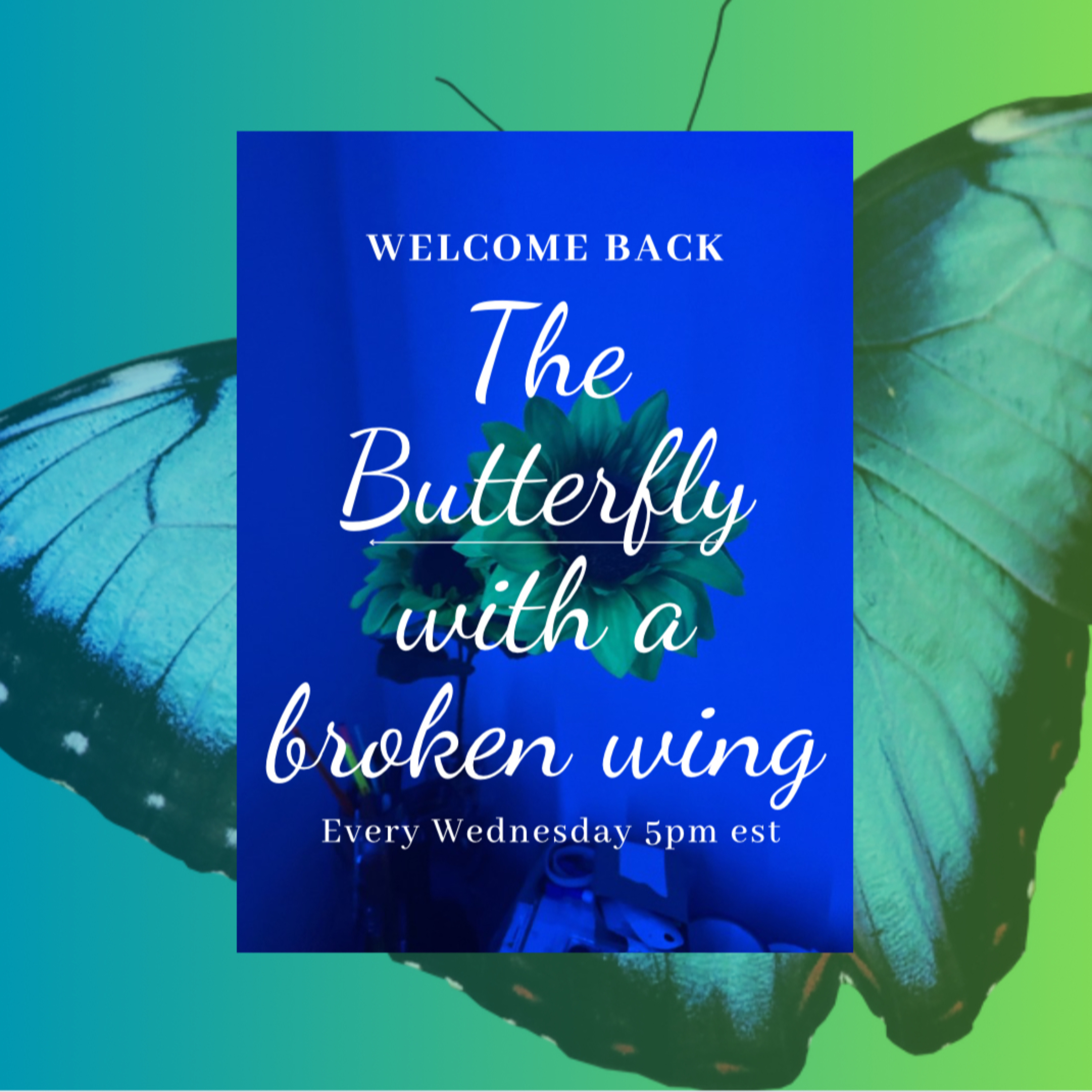 The Butterfly with a Broken Wing