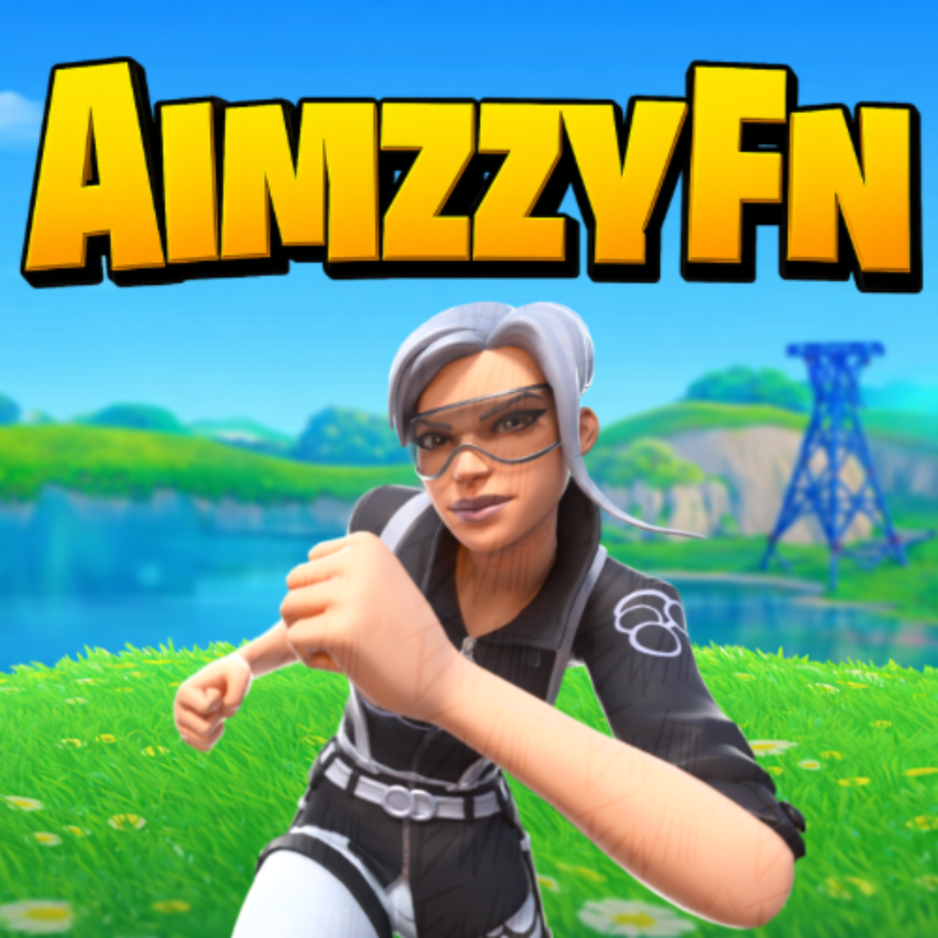 AimzzyFn🇨🇭🎮