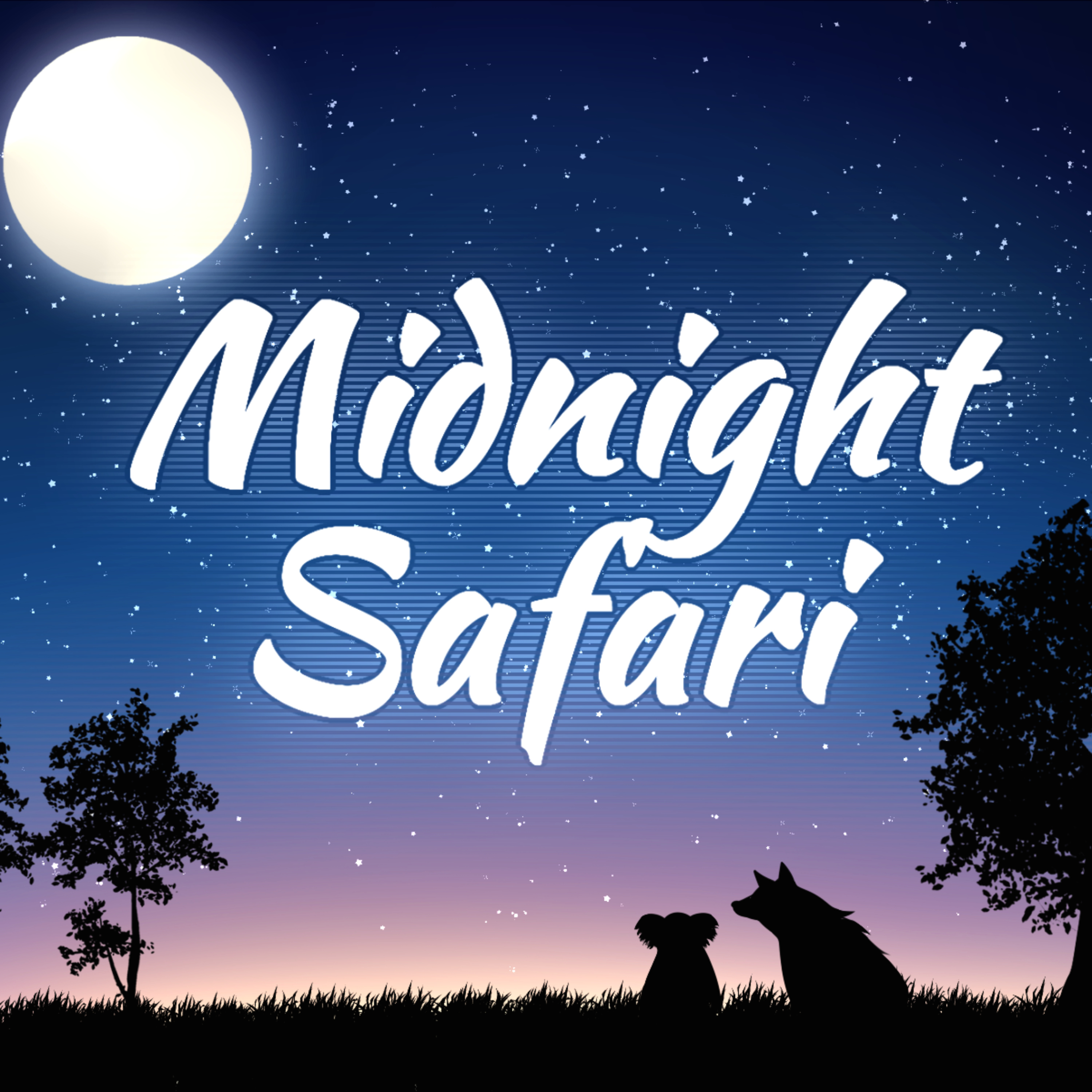 Midnight Safari
