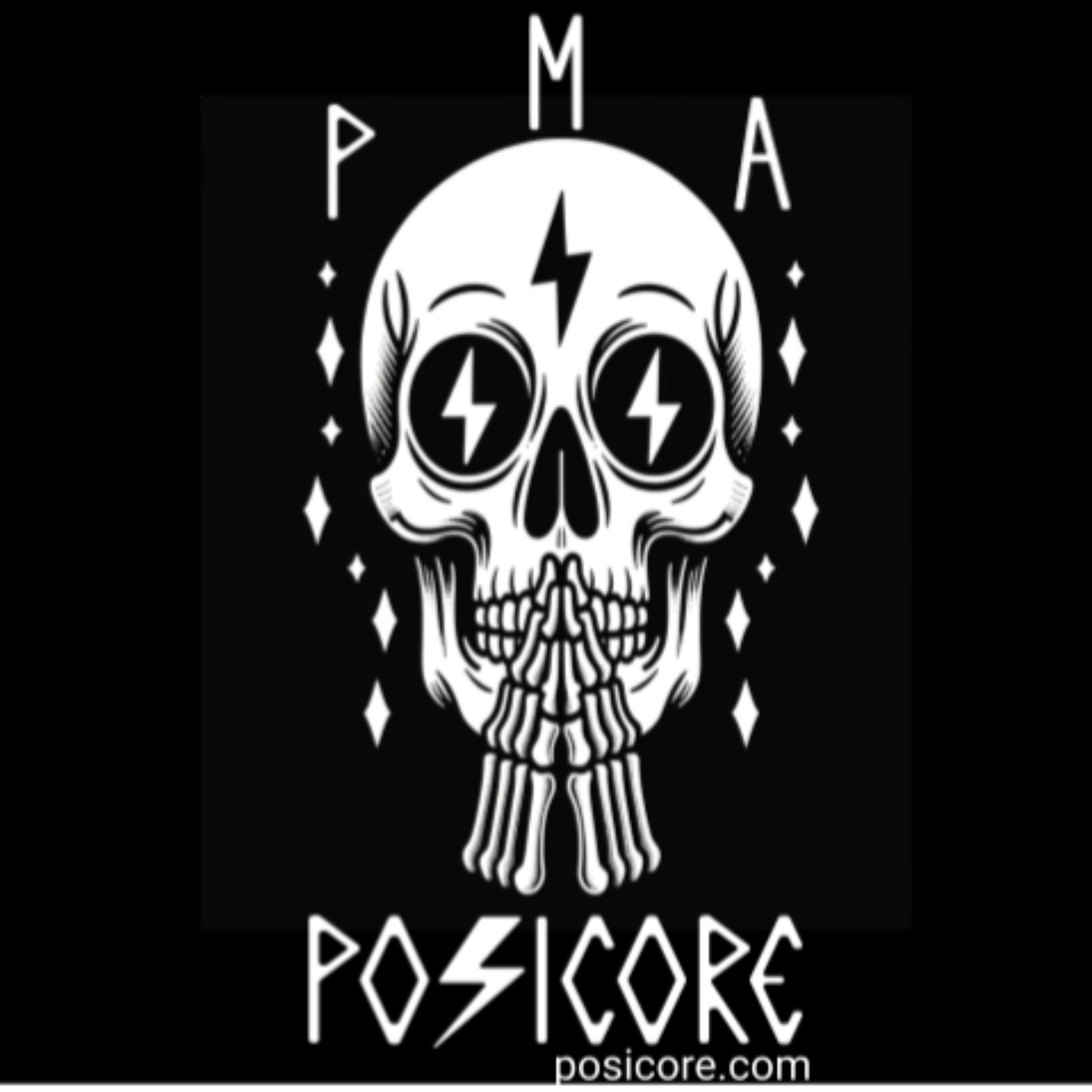 posicore.com