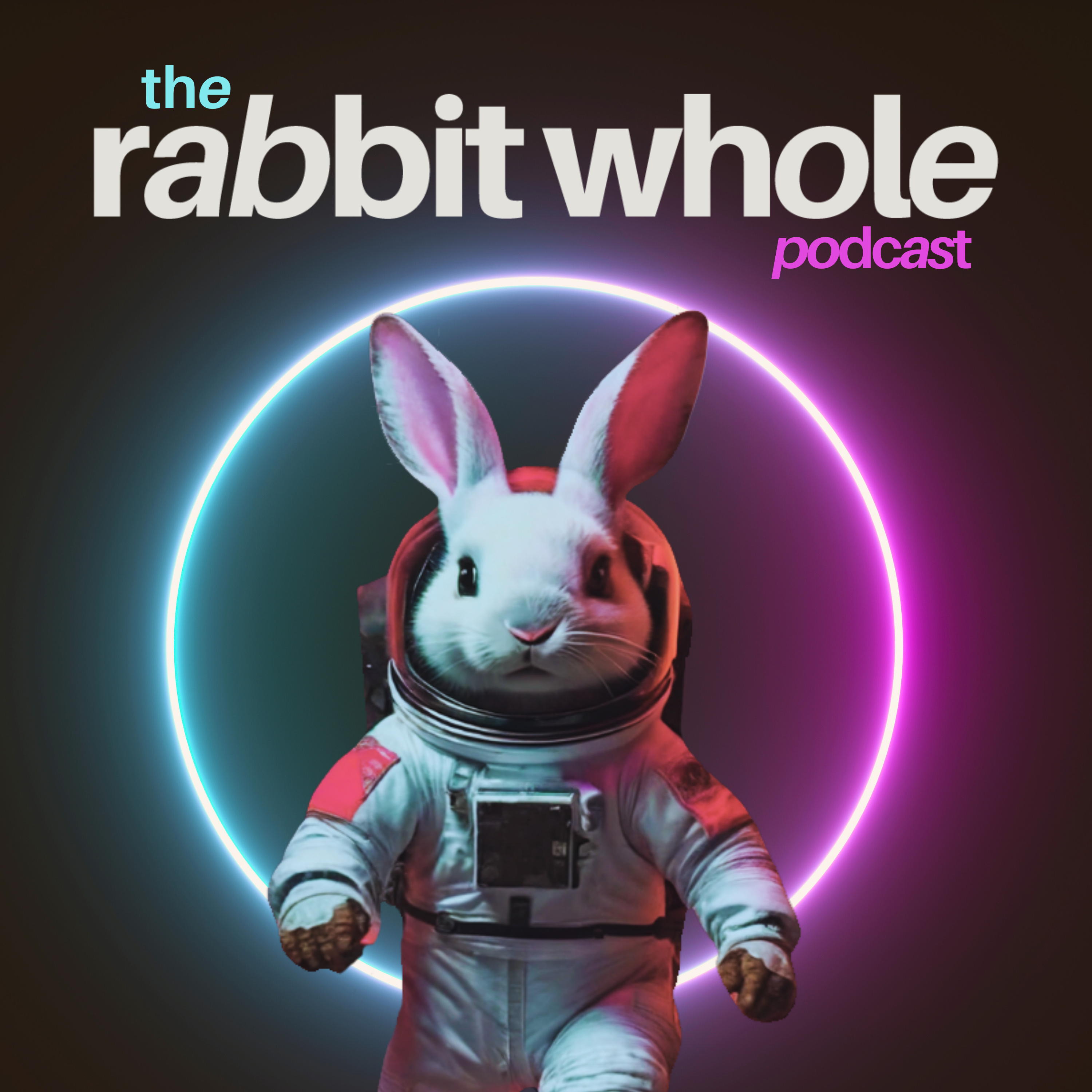 The Rabbit Whole podcast artwork