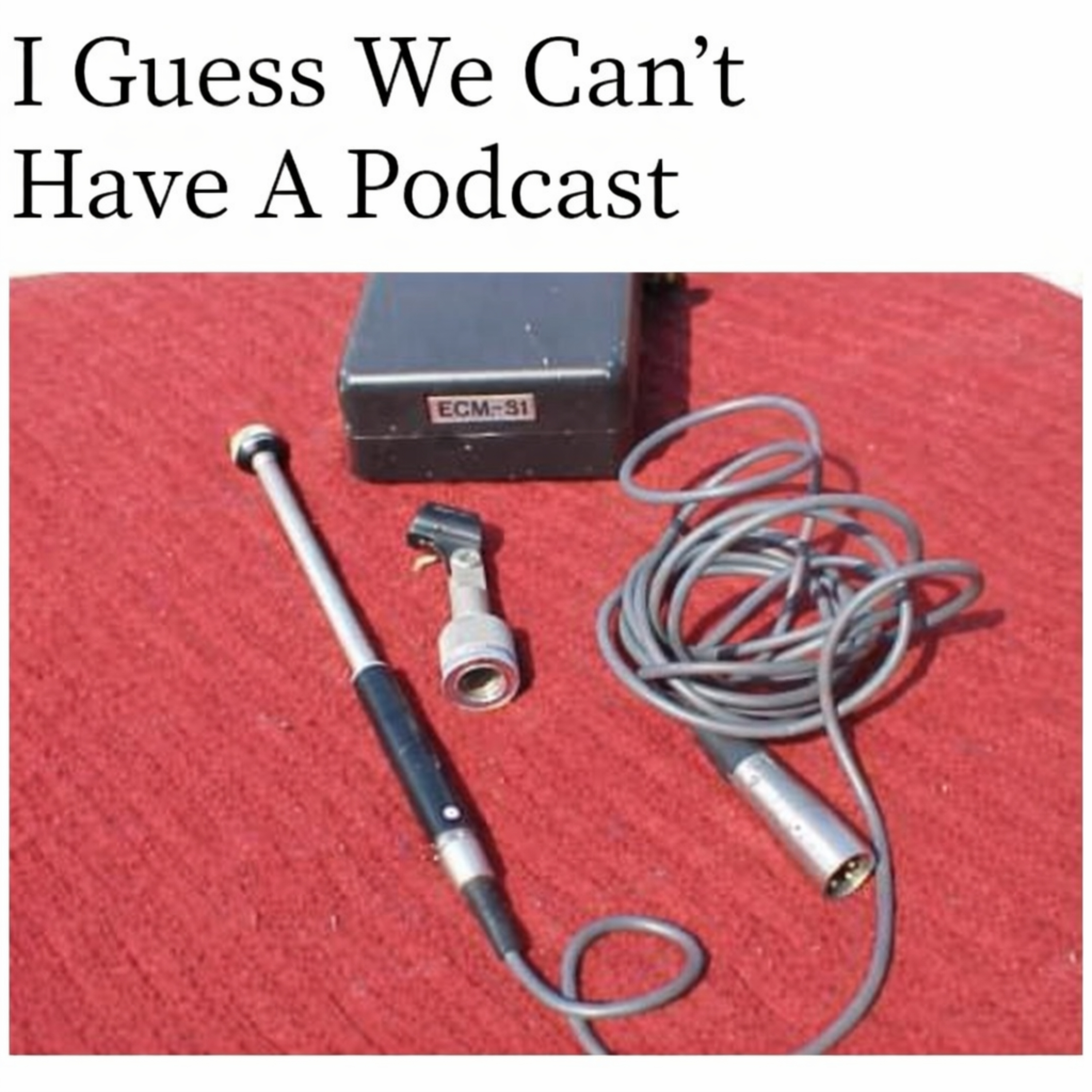 I Guess We Can\'t Have A Podcast