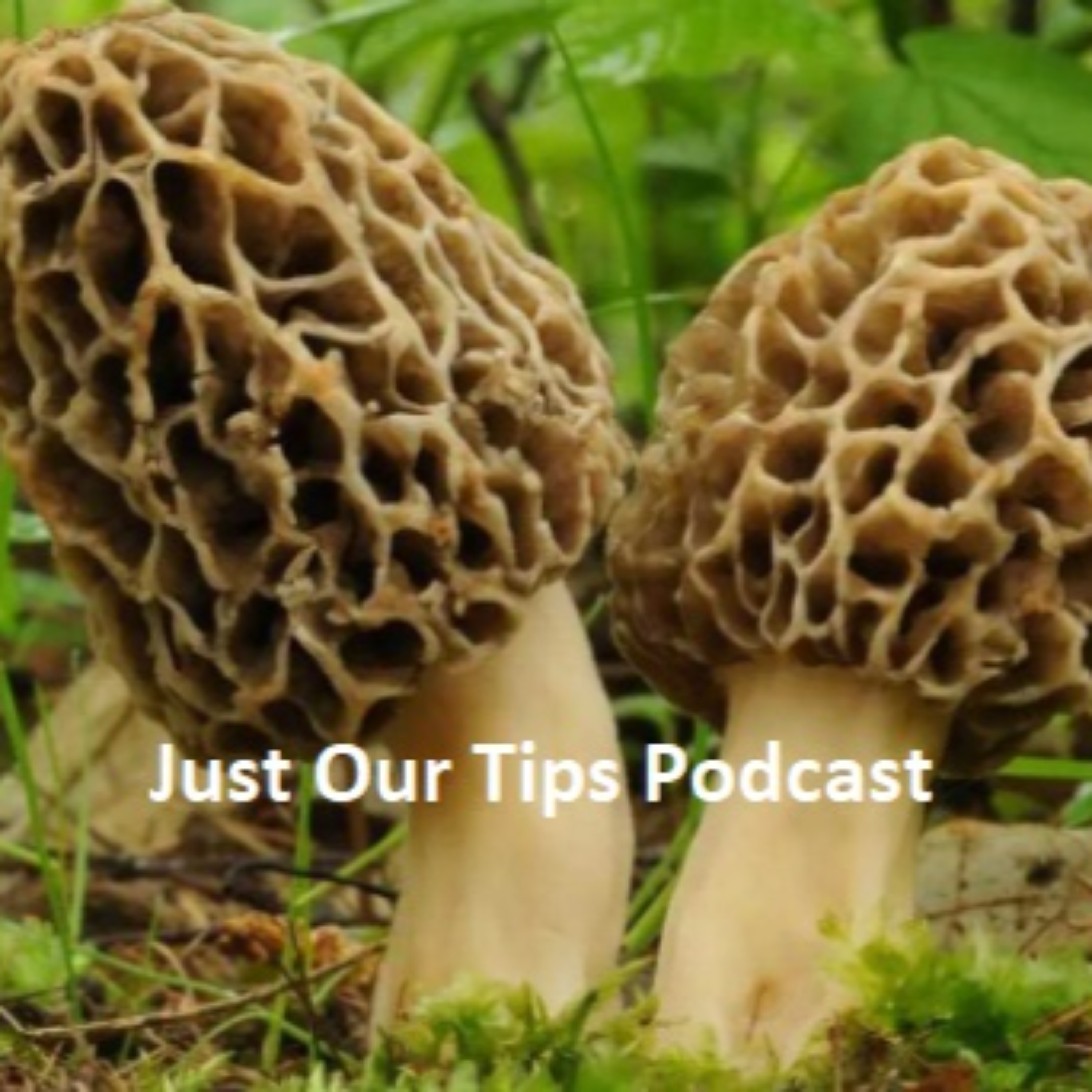 Just Our Tips Podcast