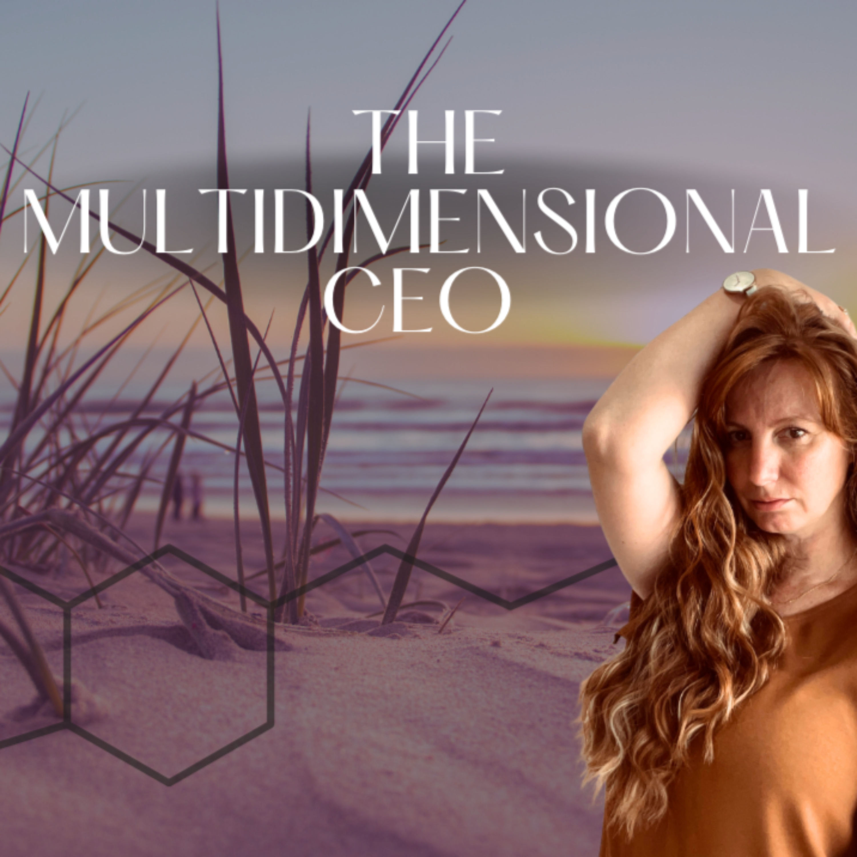 The Multidimensional CEO