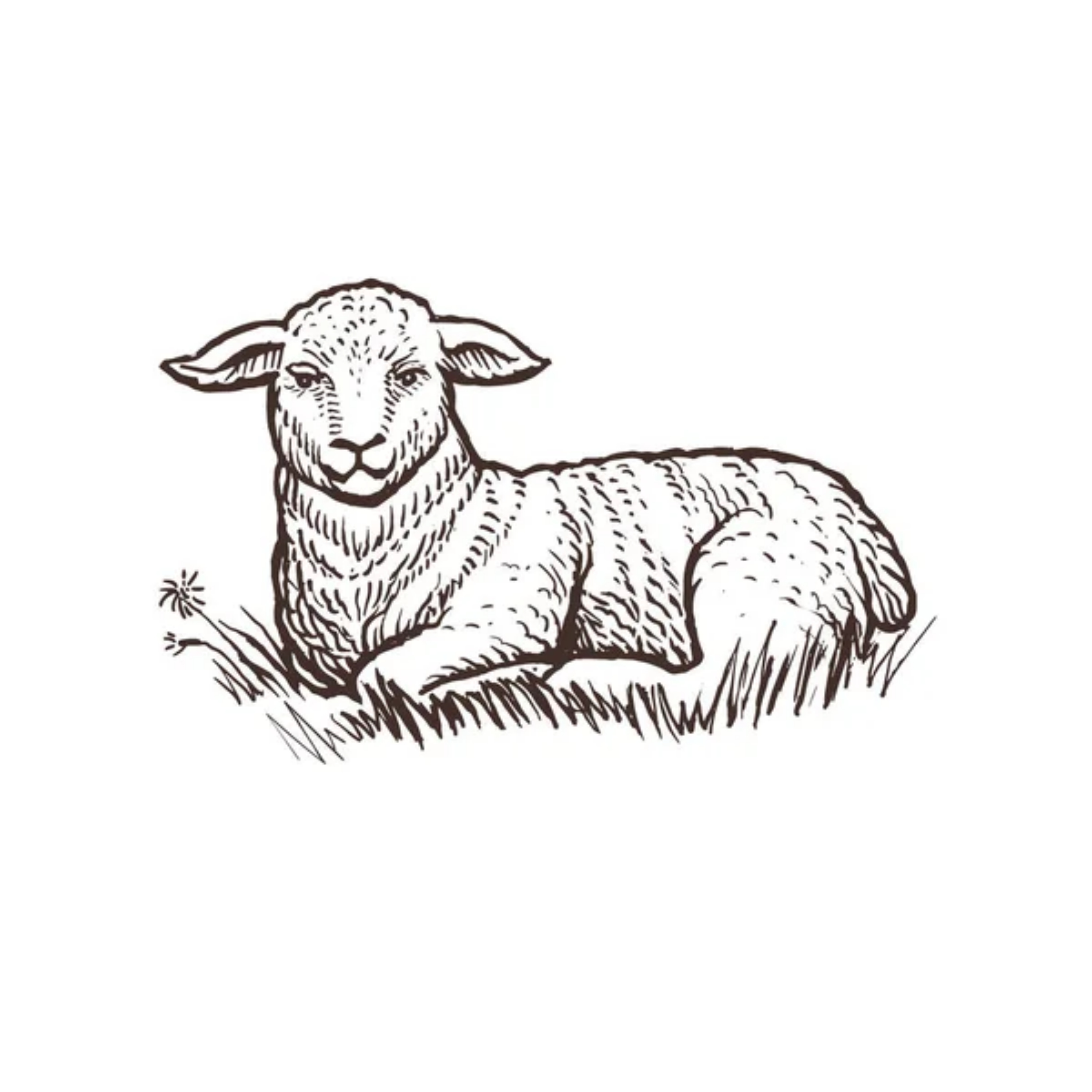 Shepherding His Flock