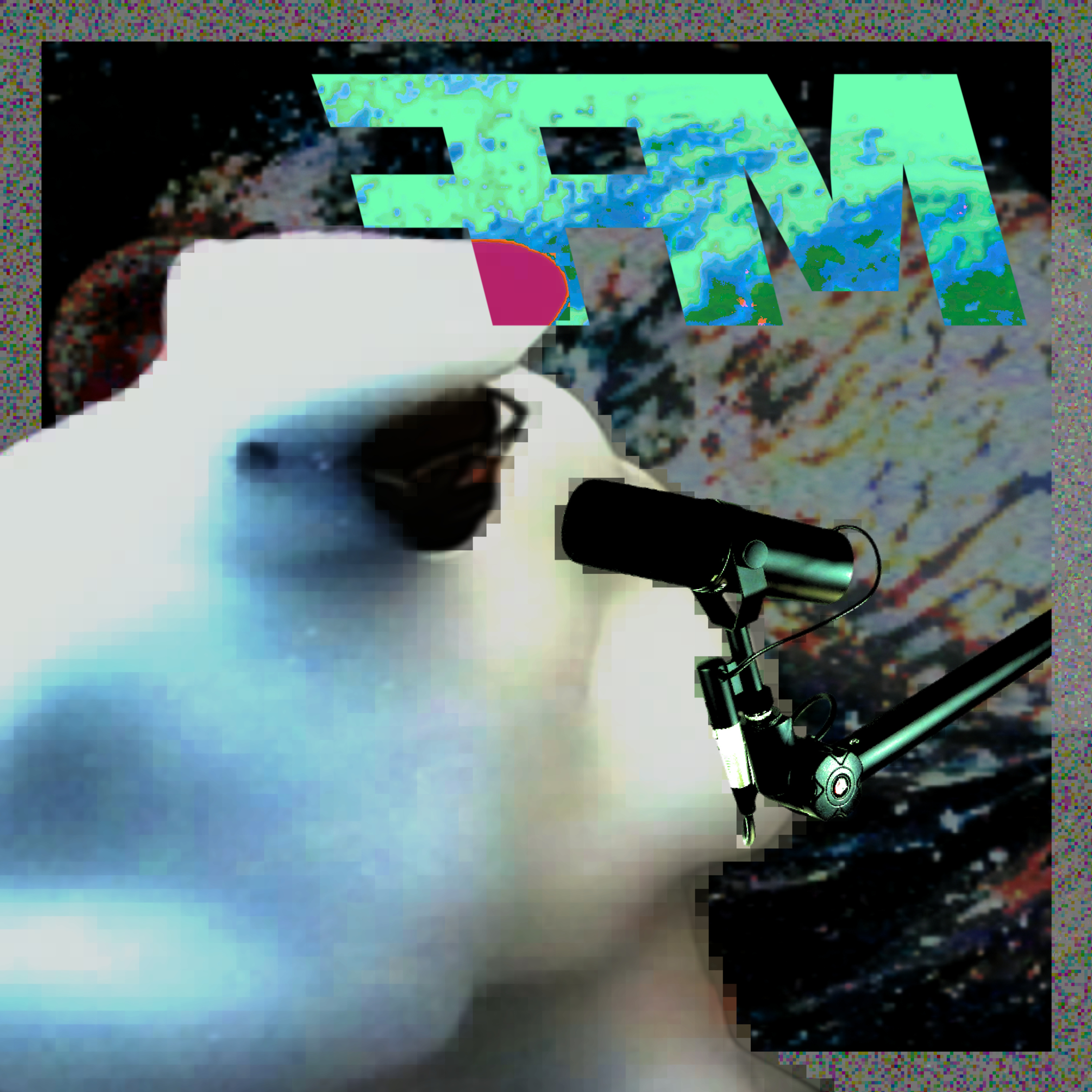 FFM