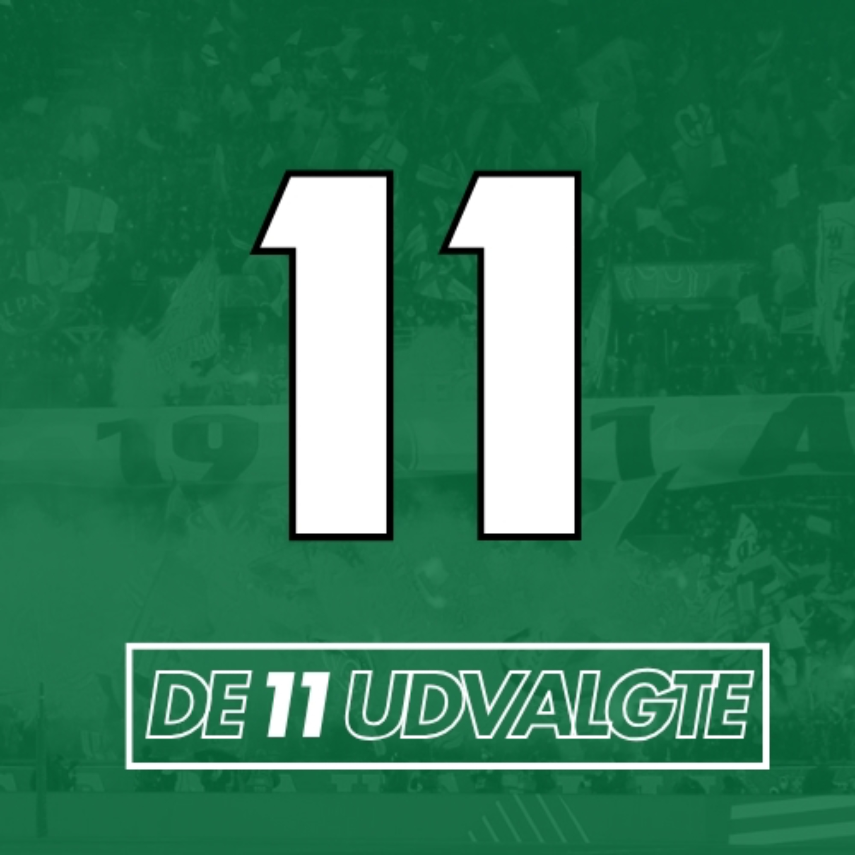 De 11 Udvalgte