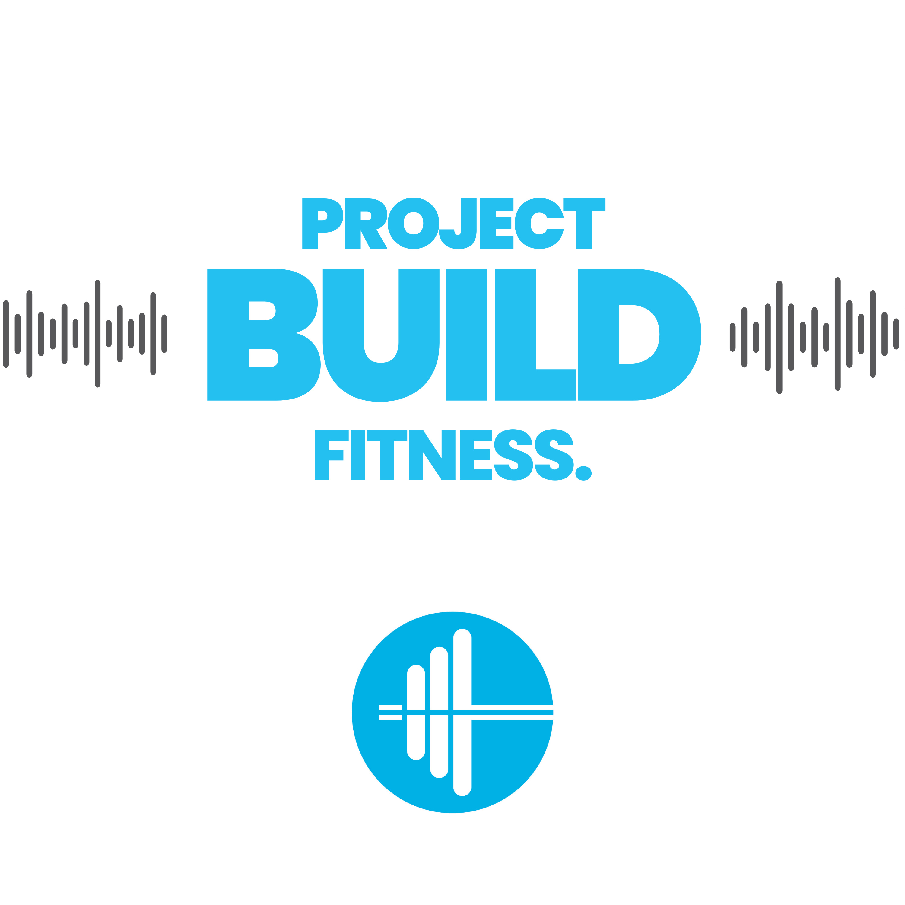 Project Build Fitness cover art