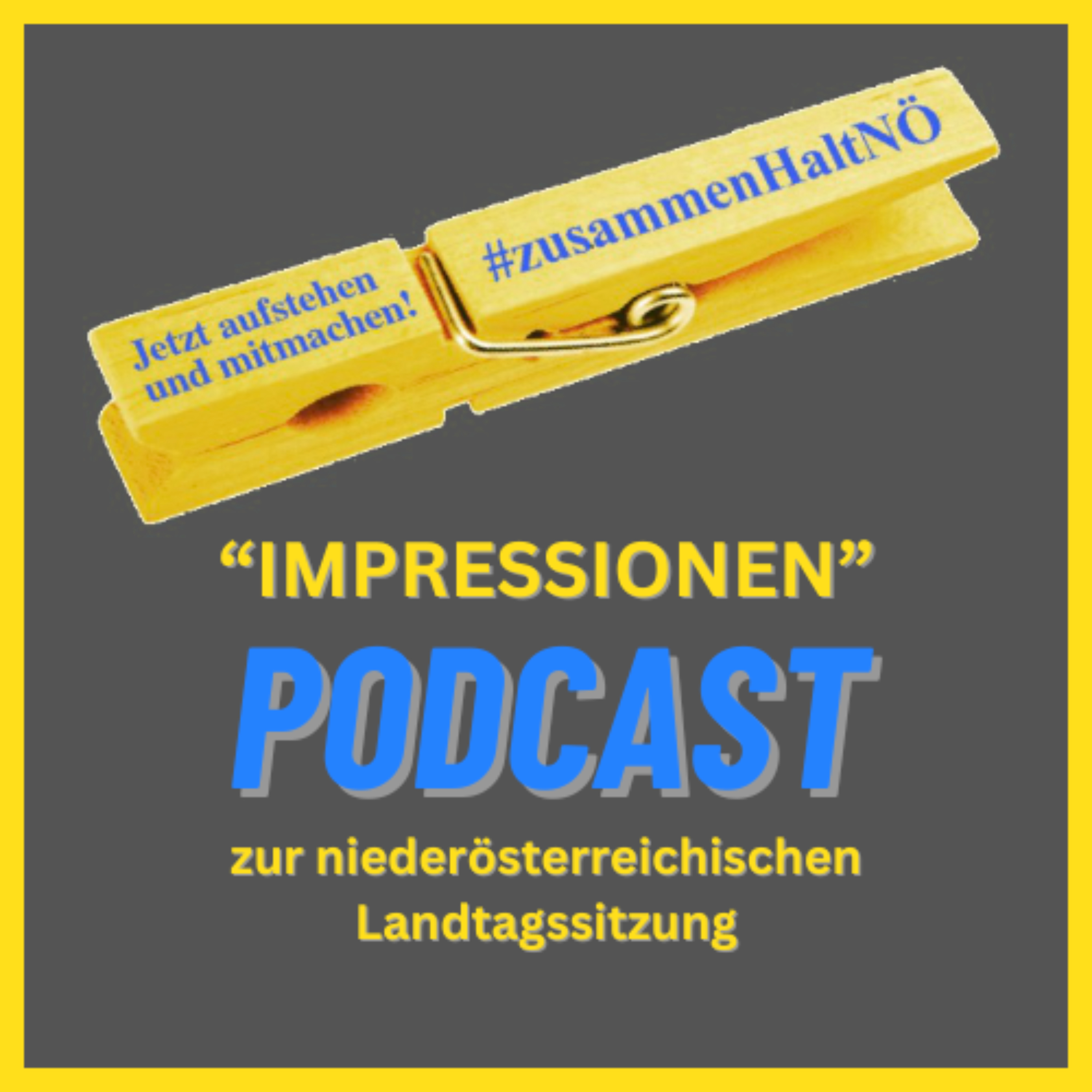 #zusammenHaltNÖ - "IMPRESSIONEN" zur NÖ Landtagssitzung podcast artwork