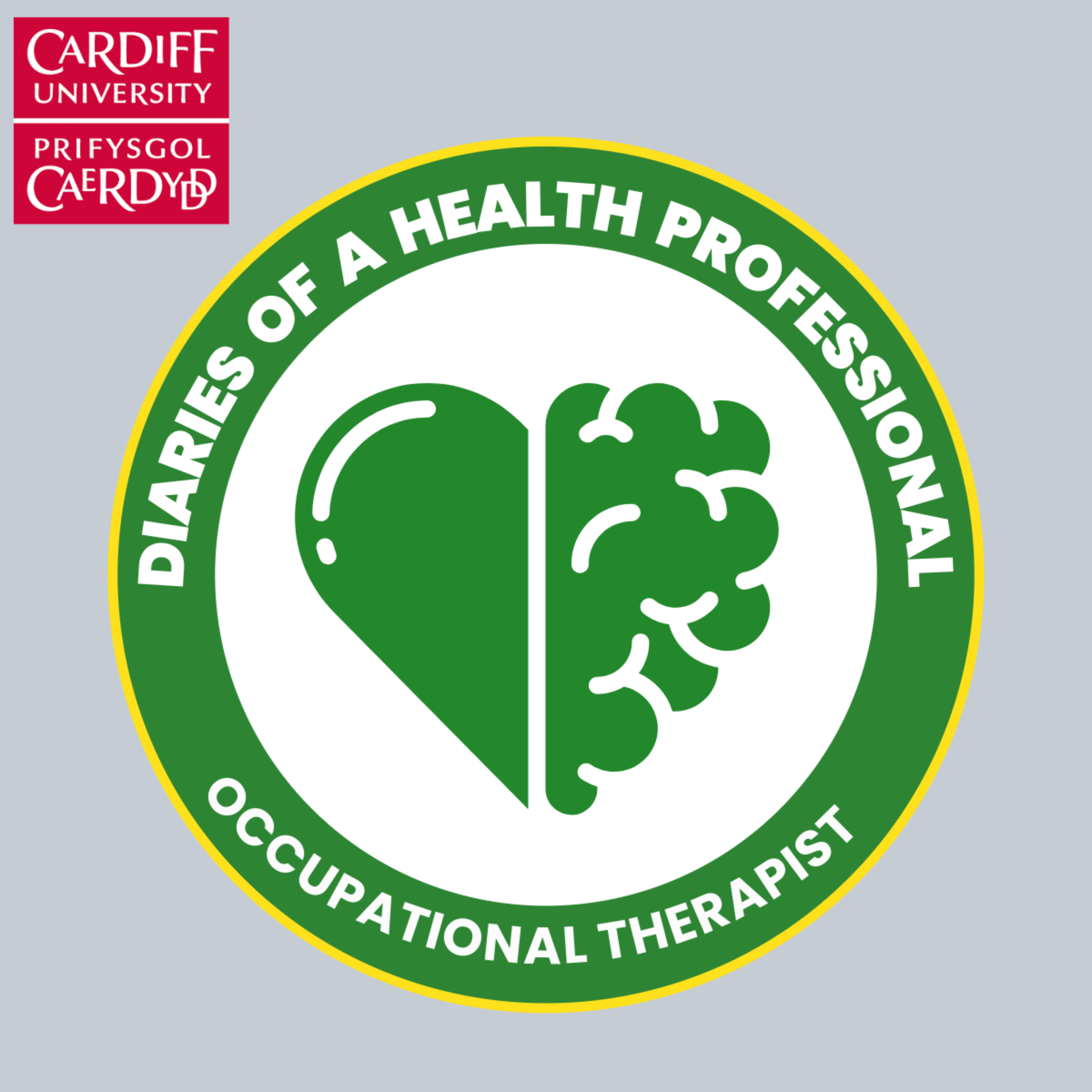 Diaries of a Health Professional