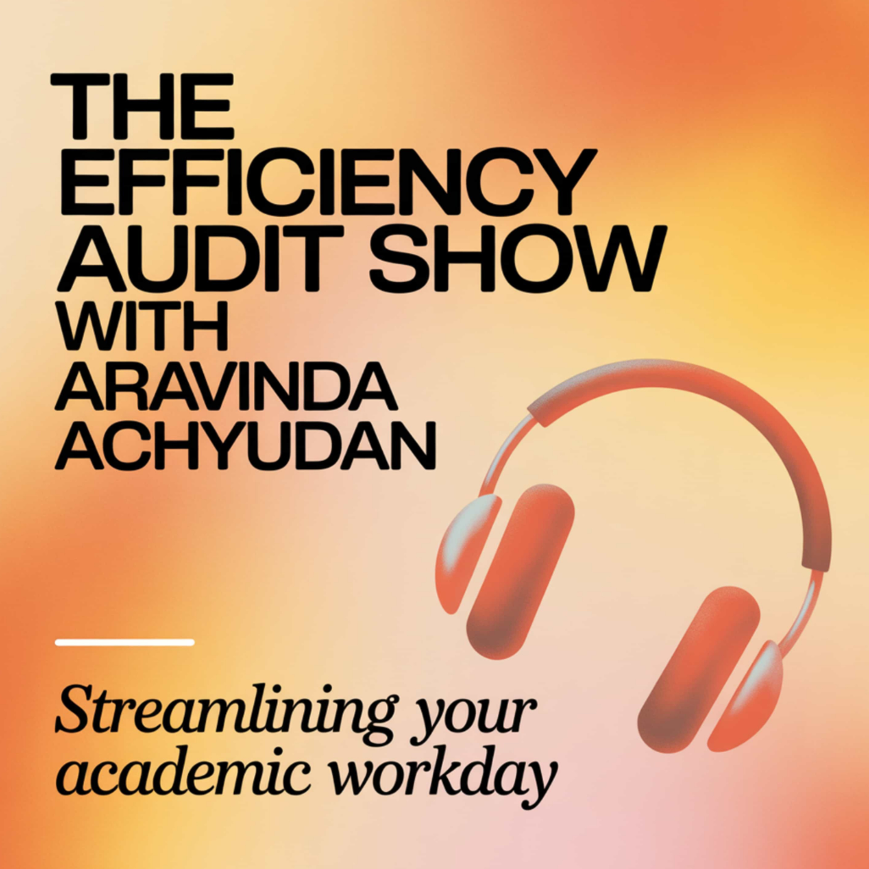 THE EFFICIENCY AUDIT SHOW podcast artwork