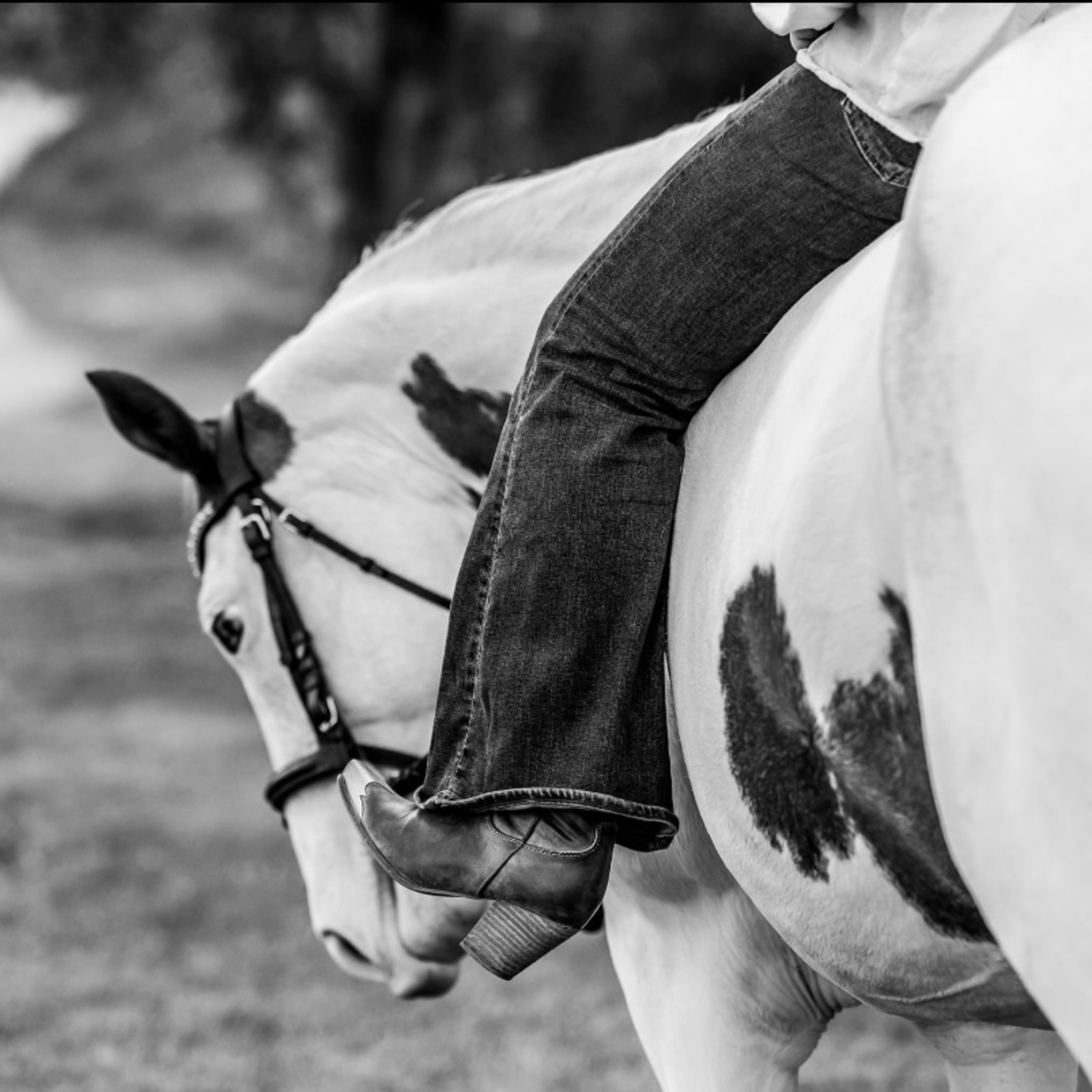 Hustle and Hooves